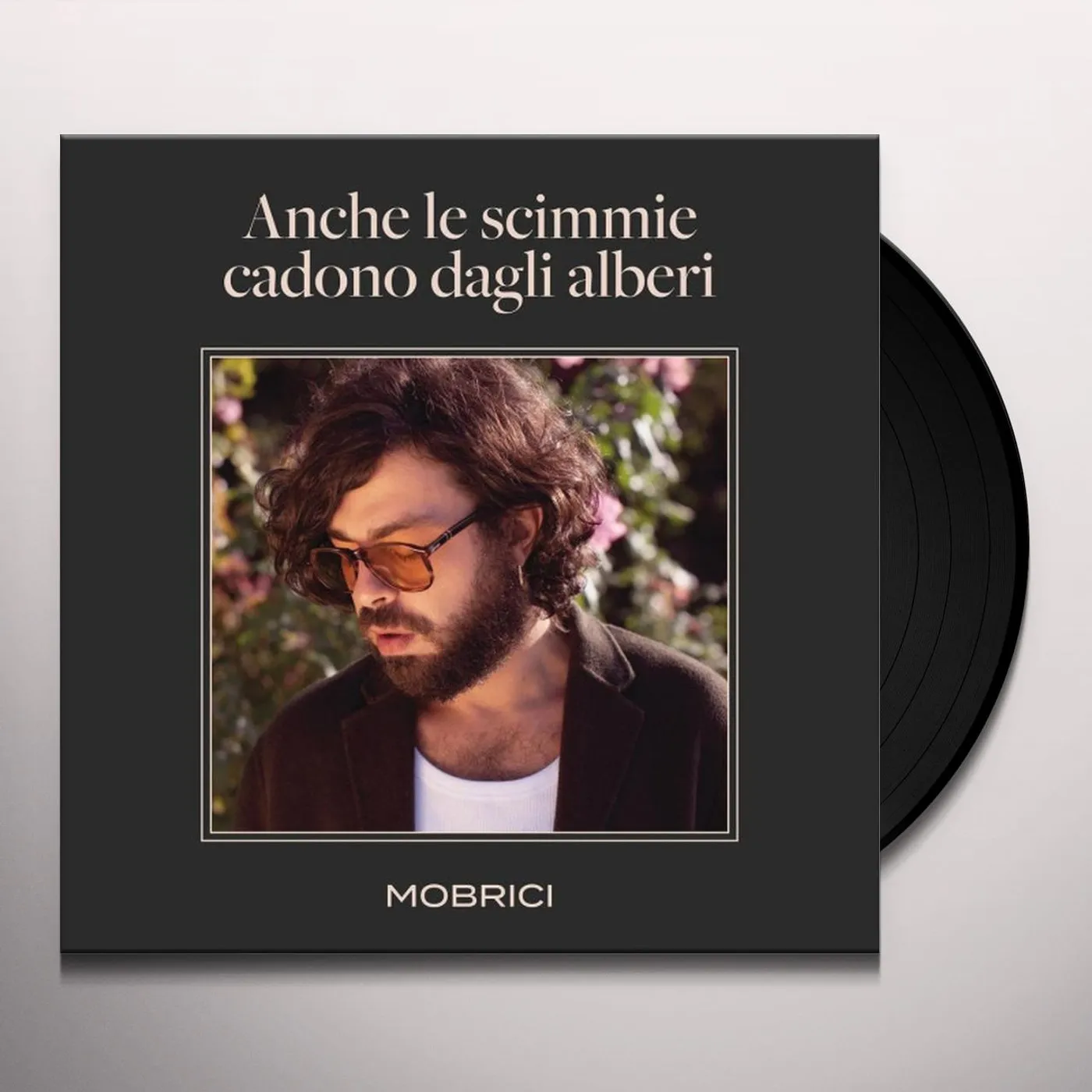 MOBRICI ANCHE LE SCIMMIE CADONO DAGLI ALBERI Vinyl Record