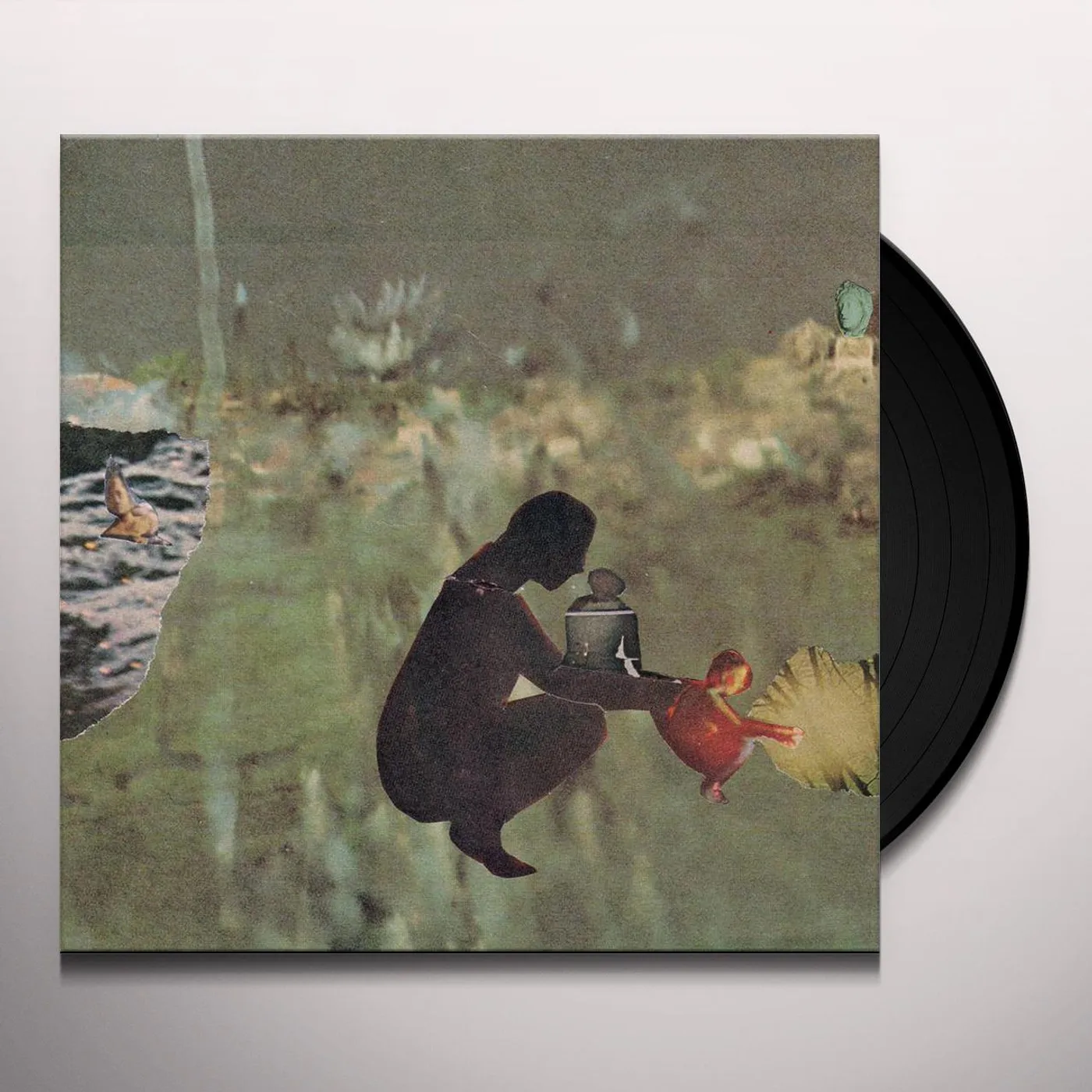 Psycho and the Birds WE'VE MOVED Vinyl Record