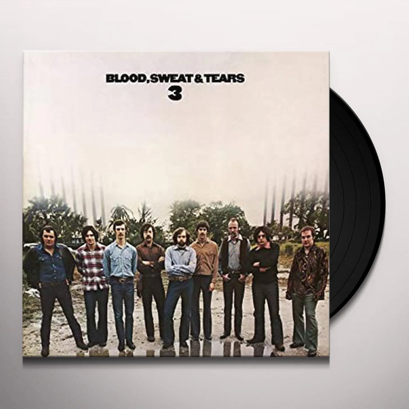 Blood, Sweat & Tearscord (Vinyl)