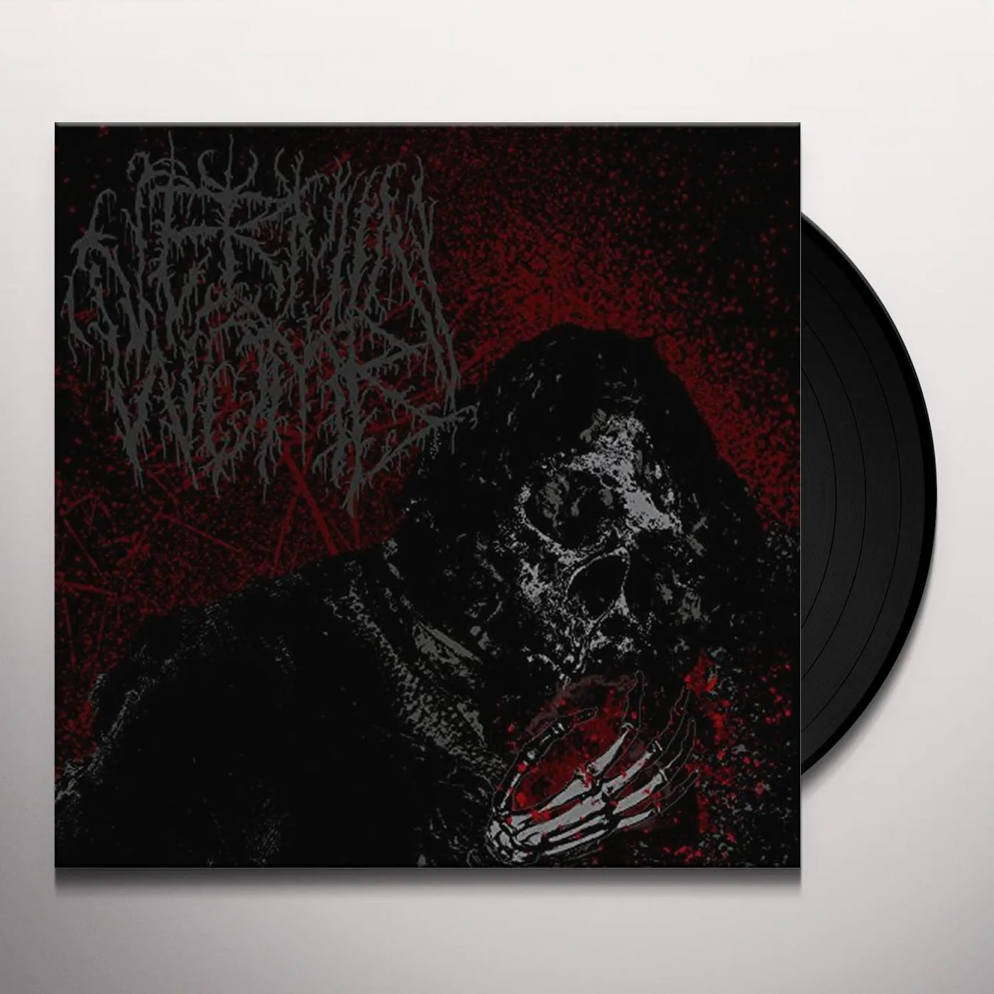 Vermin Womb Decline Vinyl Record