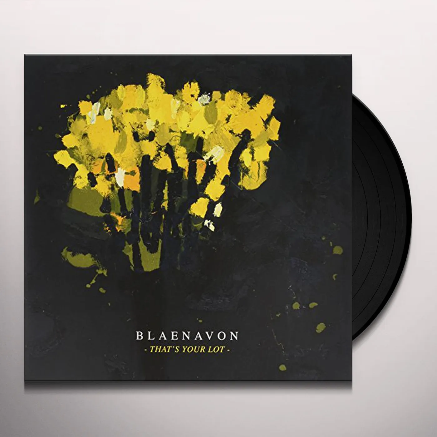 Blaenavon That's Your Lot Vinyl Record