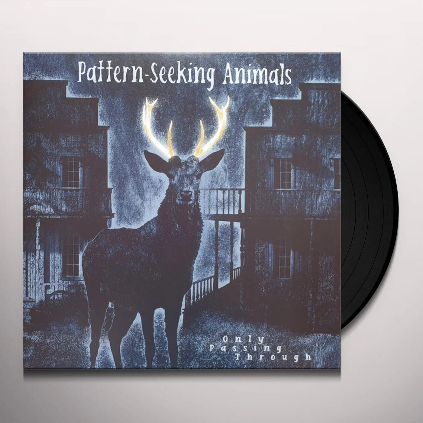Pattern-Seeking Animals ONLY PASSING THROUGH Vinyl Record