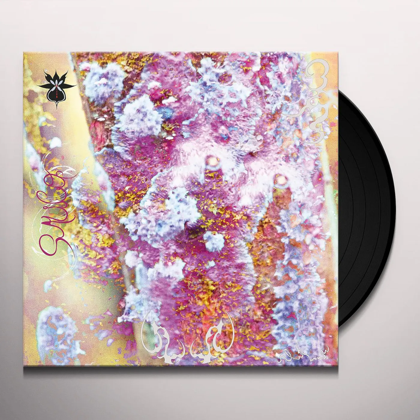 Qoa Sauco Vinyl Record
