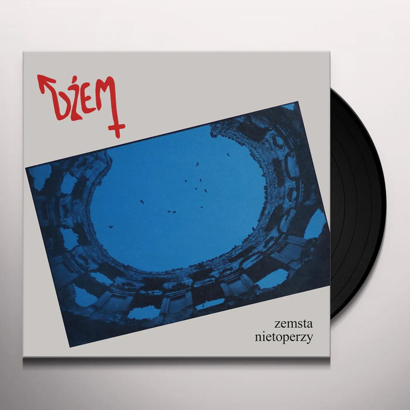Dzem Zemsta Nietoperzy Vinyl Record