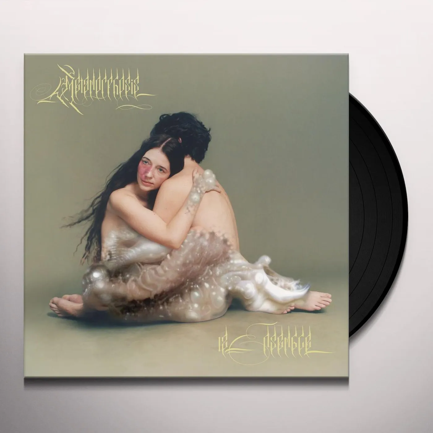 12 Ensemble Metamorphosis Vinyl Record