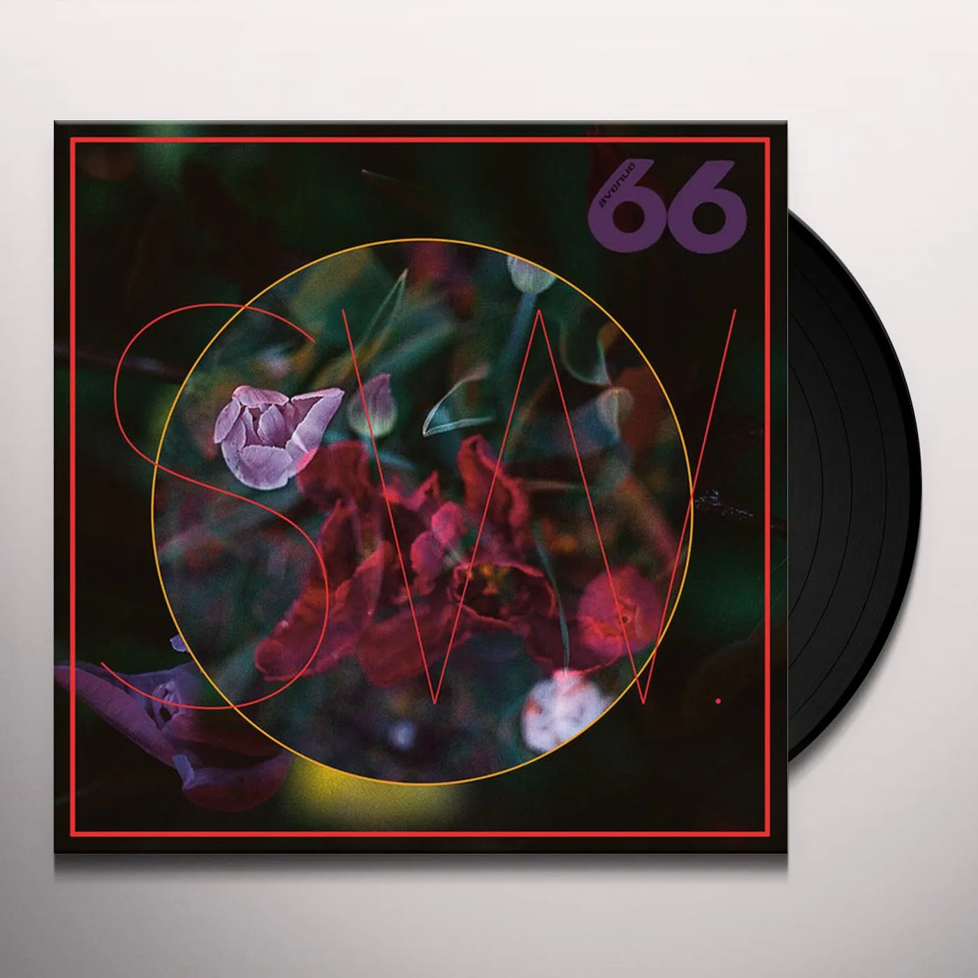 SW TRUELIPS Vinyl Record