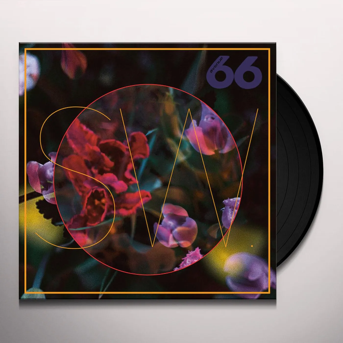 SW BLEWLIPS Vinyl Record