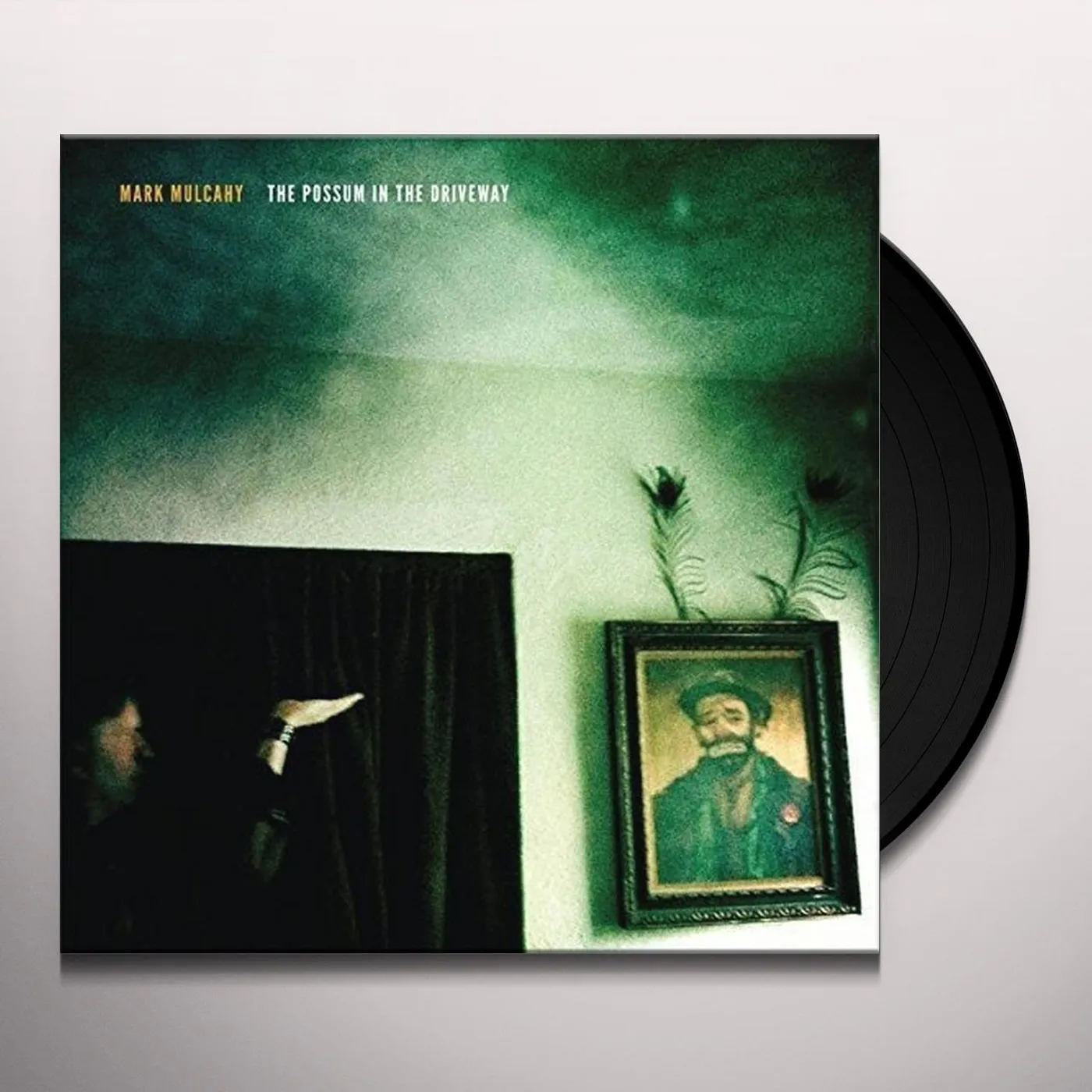 Mark Mulcahy POSSUM IN THE DRIVEWAY Vinyl Record