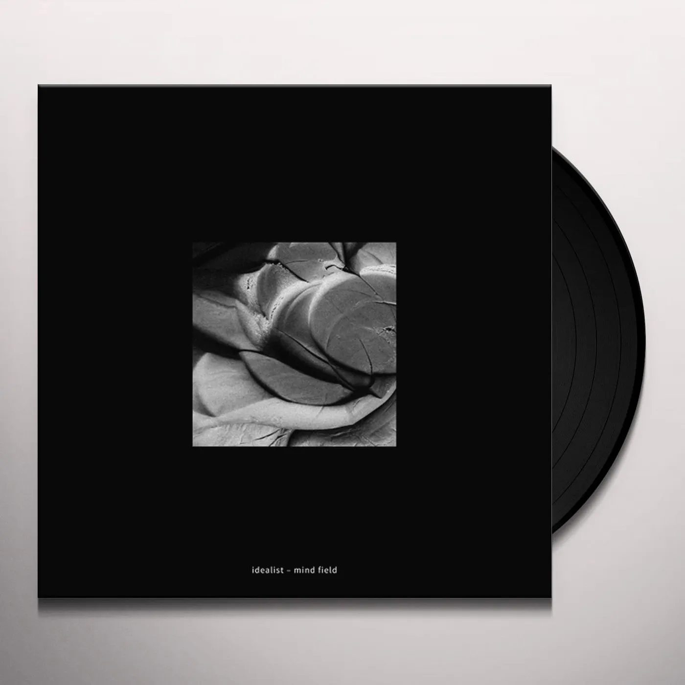 Idealist Mind Field Vinyl Record