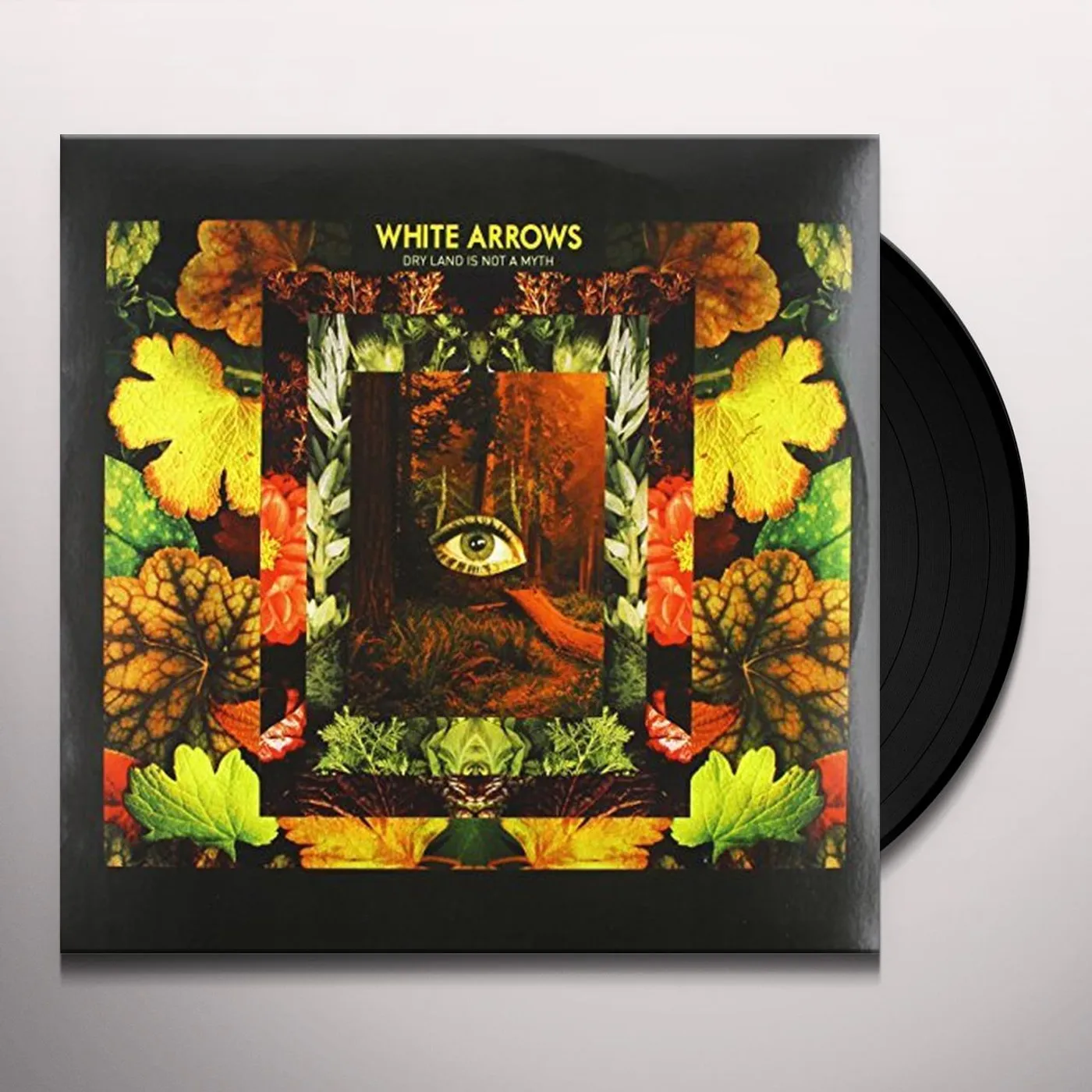 White Arrows Dry Land Is Not A Myth Vinyl Record