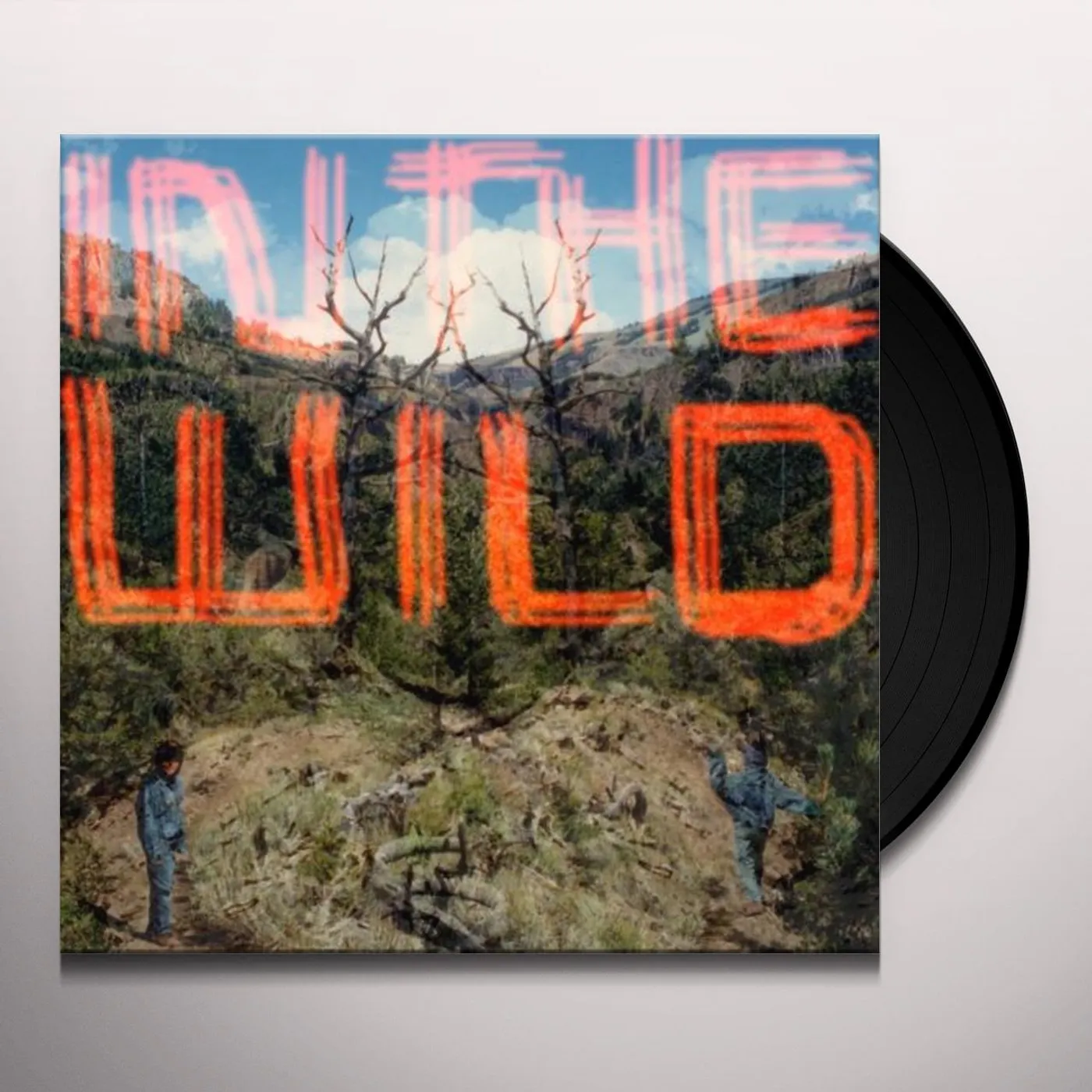 Falty DL In The Wild Vinyl Record