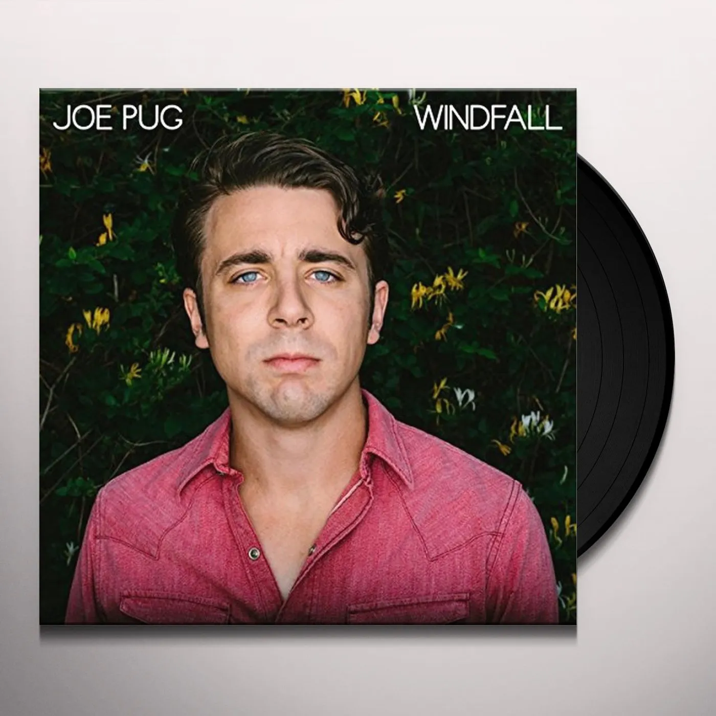 Joe Pug Windfall Vinyl Record