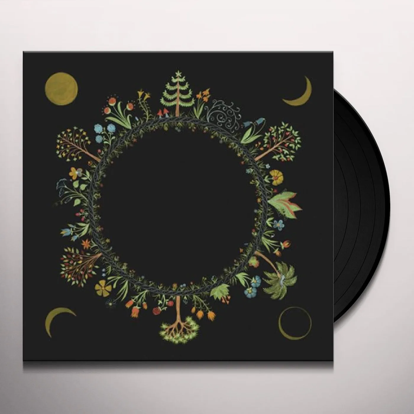 Laura Stevenson Wheel Vinyl Record