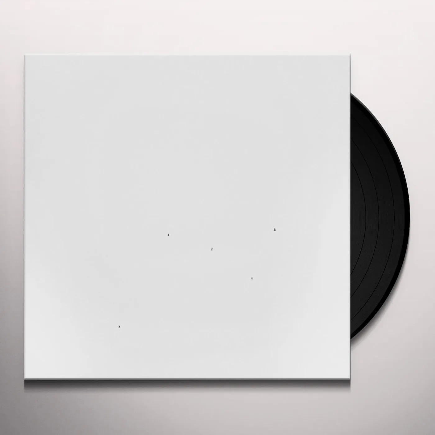 Todd Anderson-Kunert Conjectures Vinyl Record