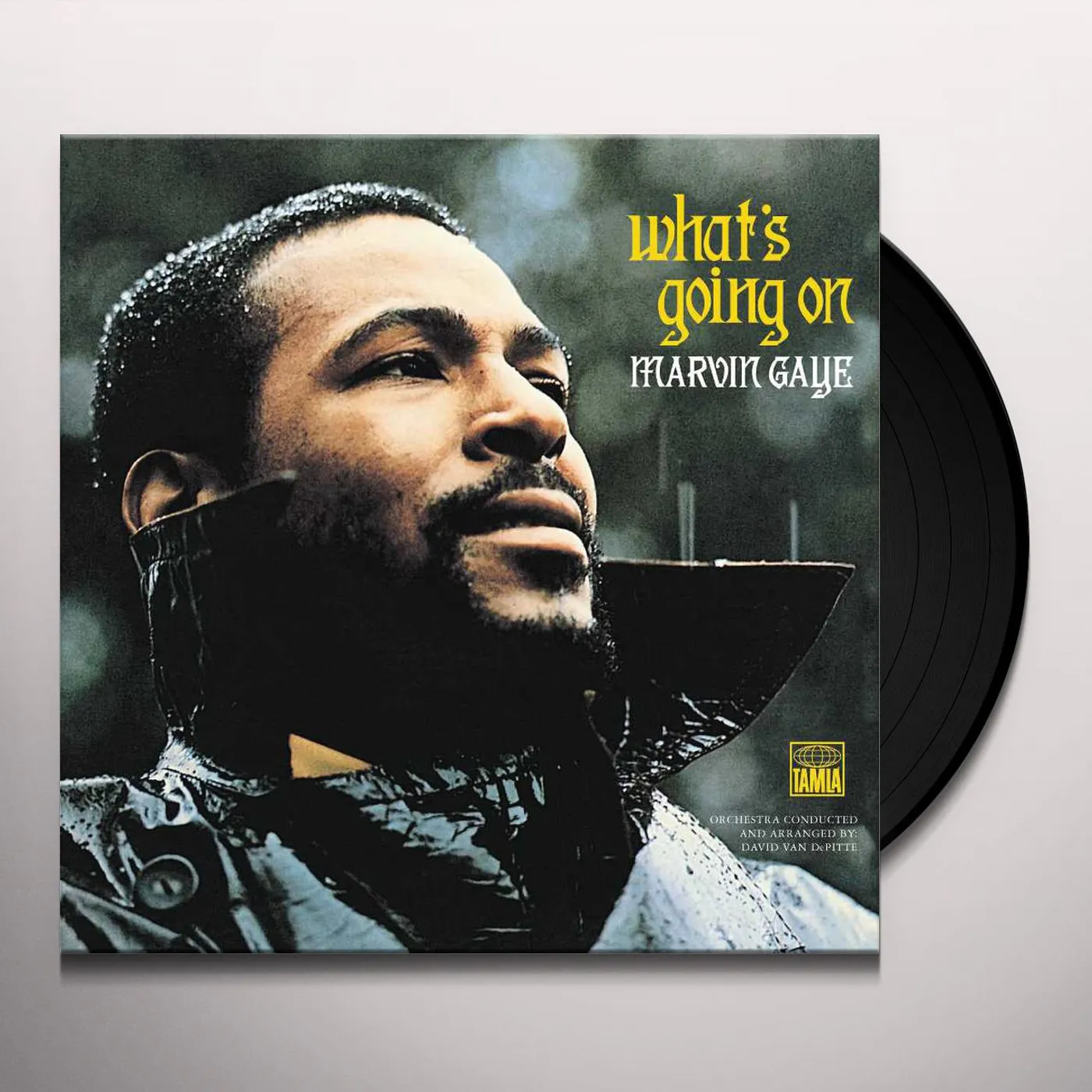 Marvin Gaye What's Going On Vinyl Record