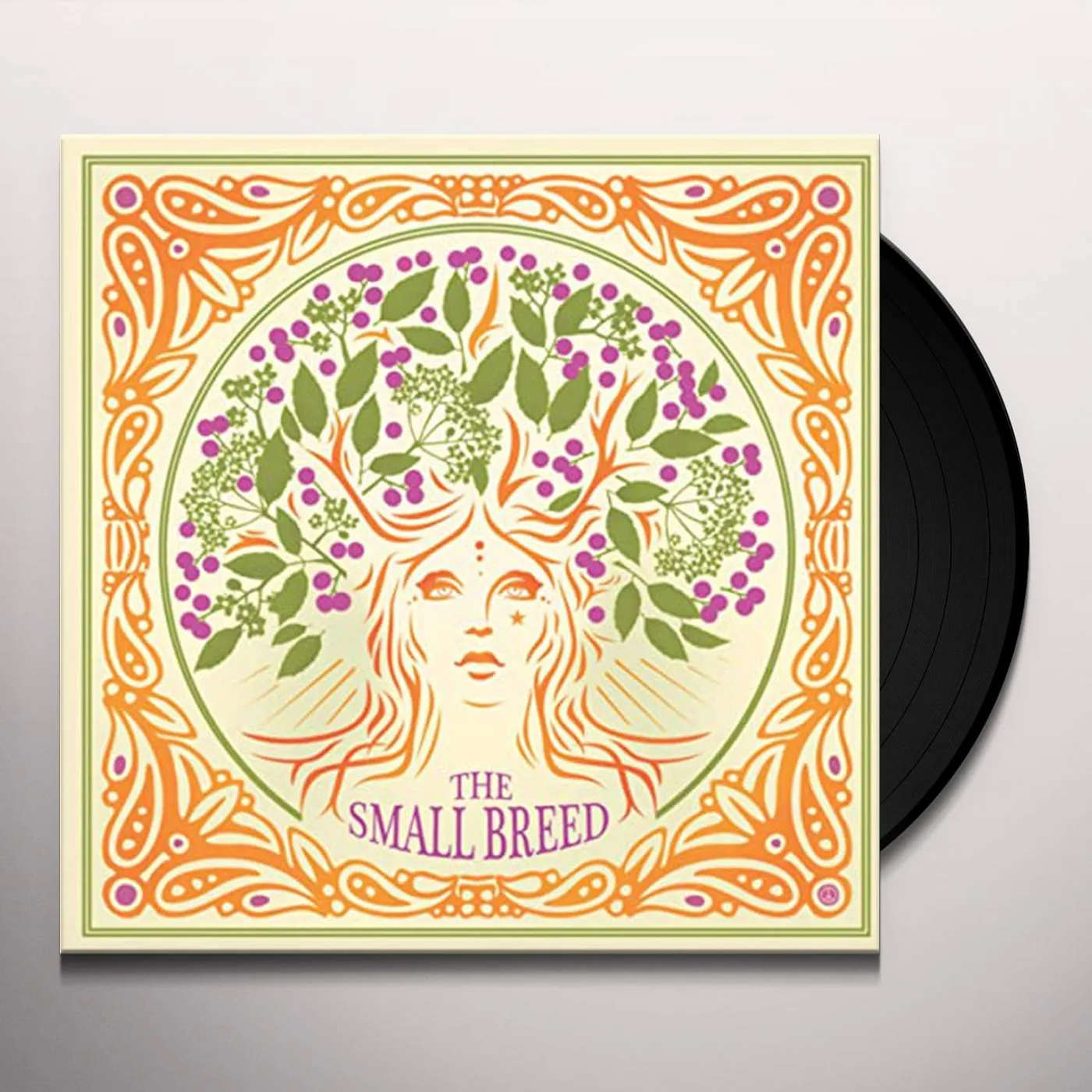The Small Breed AN ELDERFLOWER PARLIAMENT Vinyl Record