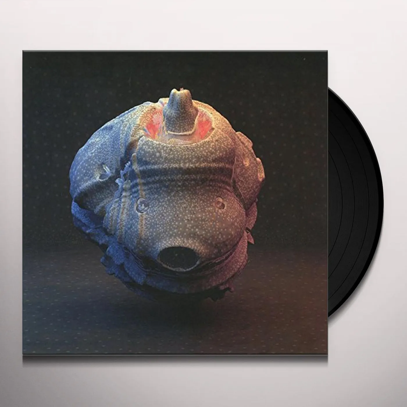 Joe Goddard So Much Vinyl Record