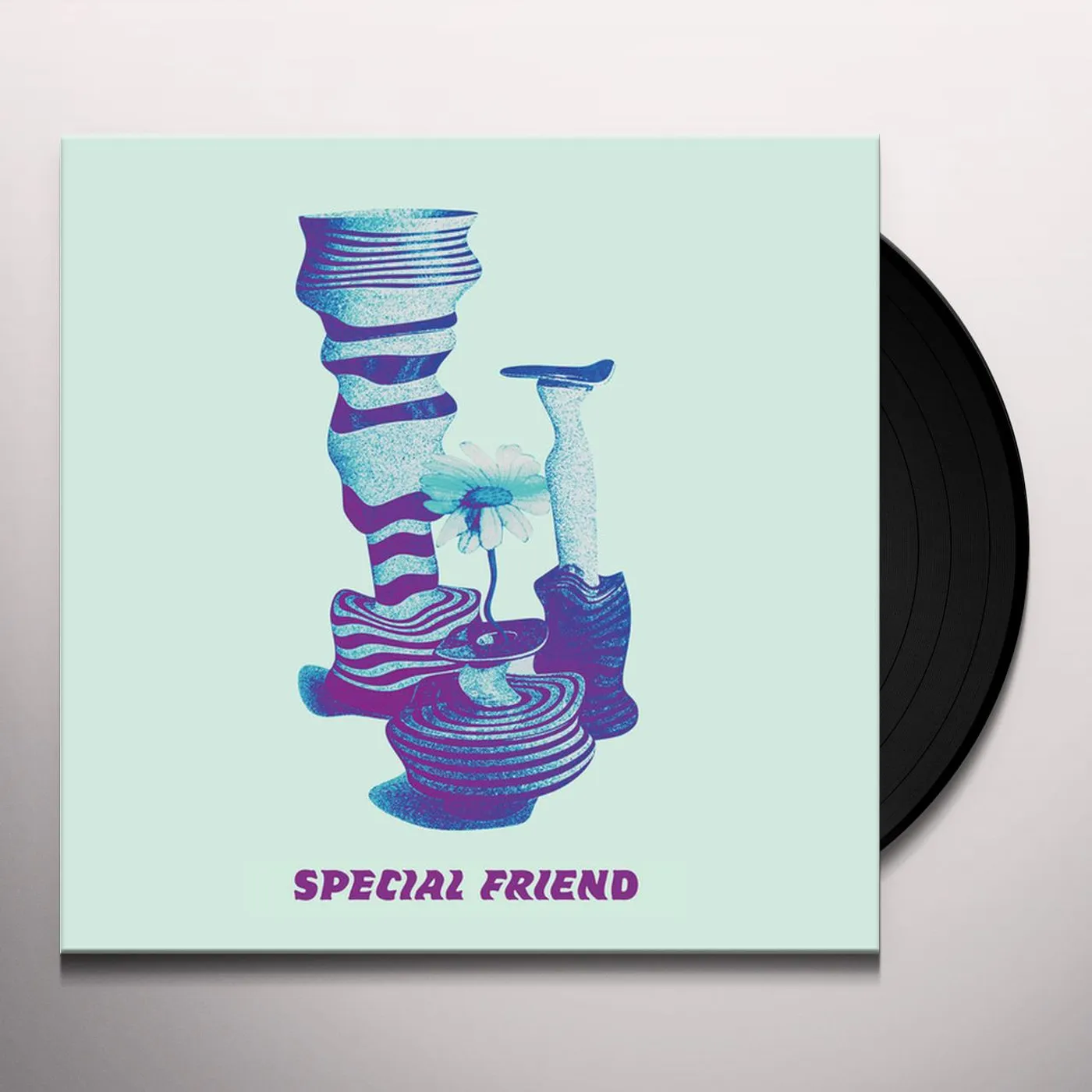 Special Friend Vinyl Record