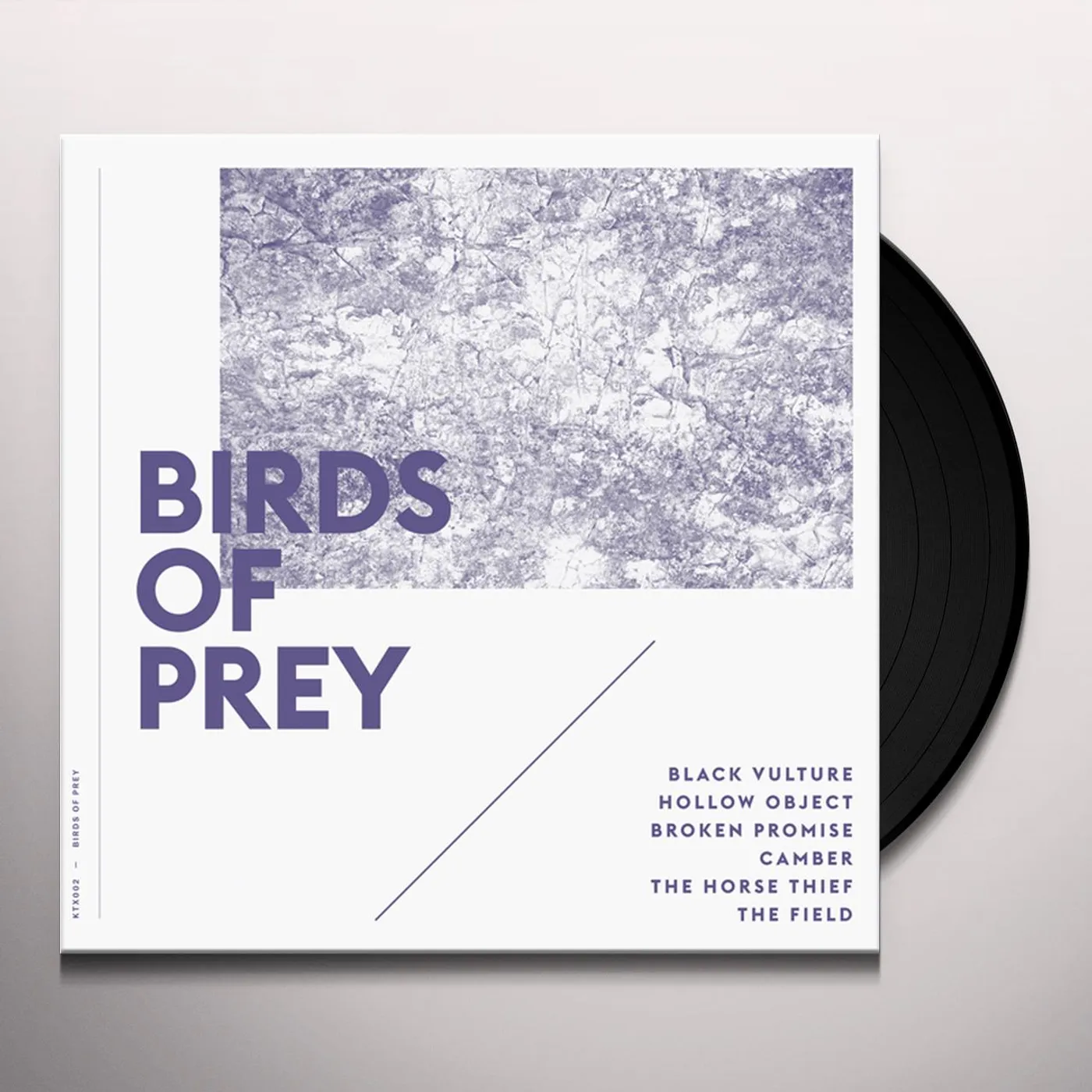 Birds Of Prey Vinyl Record