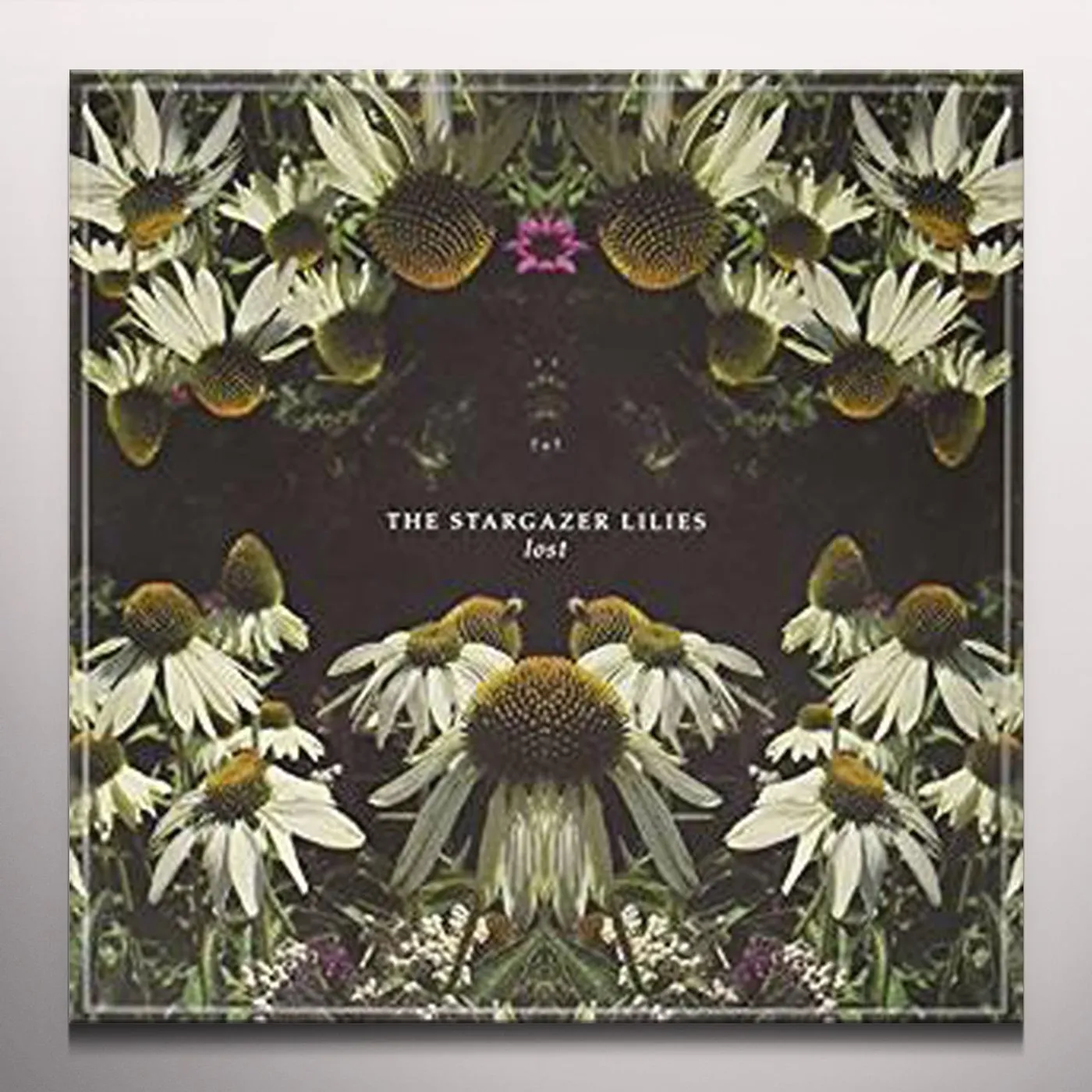The Stargazer Lilies Lost Vinyl Record