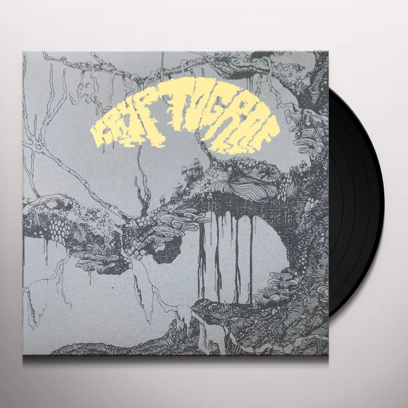 Kryptograf Vinyl Record