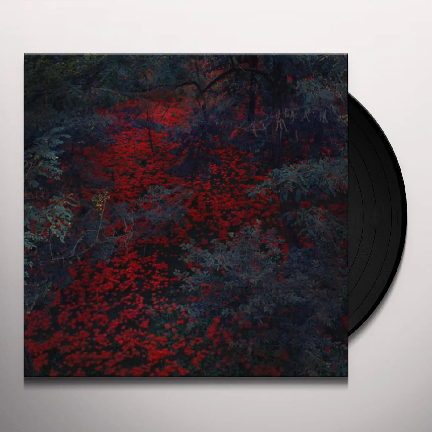 Alex Cobb Marigold And Cable Vinyl Record