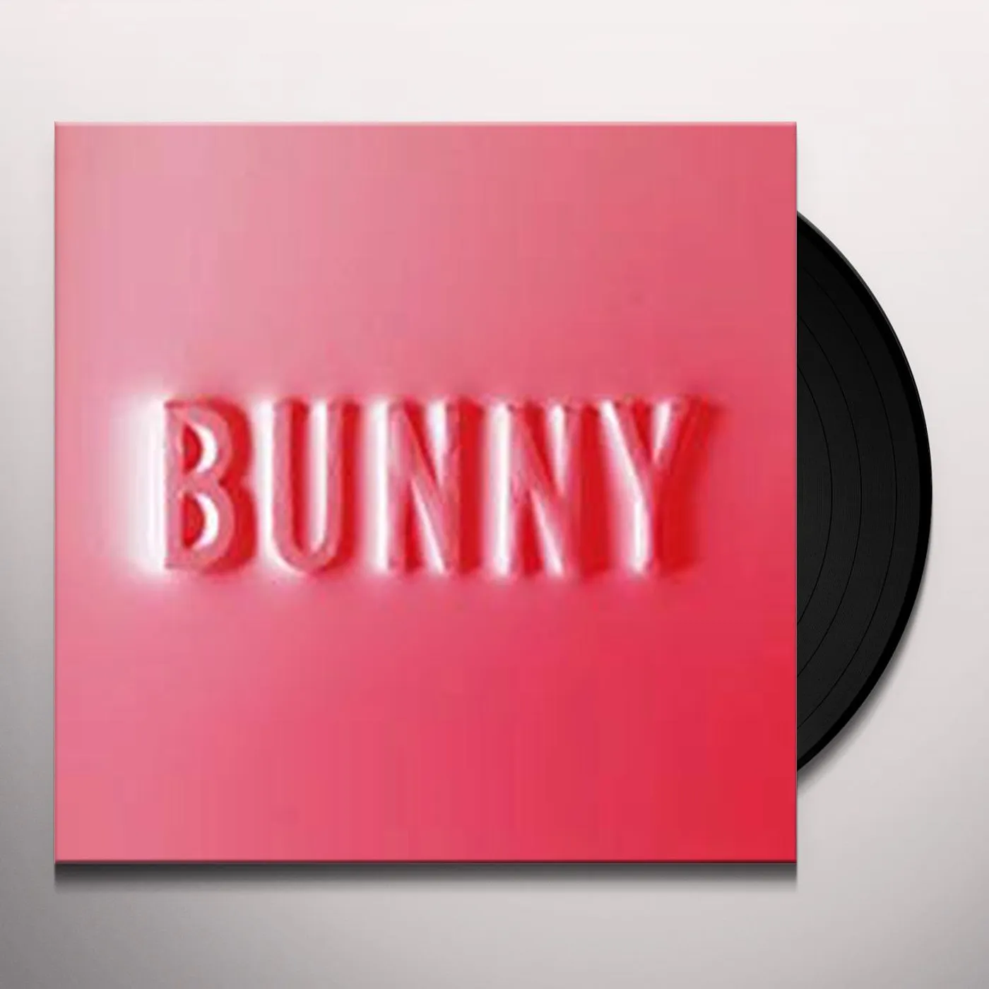 Dear Matthew Bunny Vinyl Record