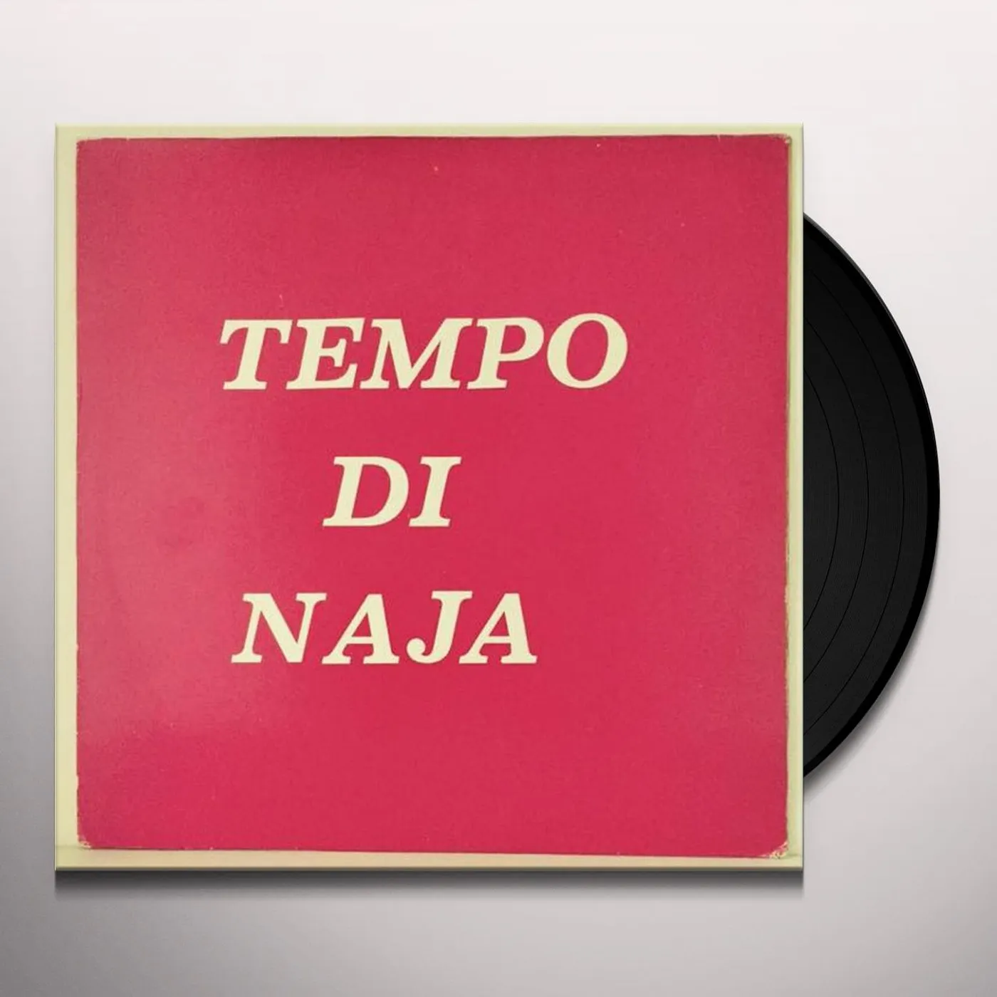 Remigio Ducros Tempo di naja Vinyl Record