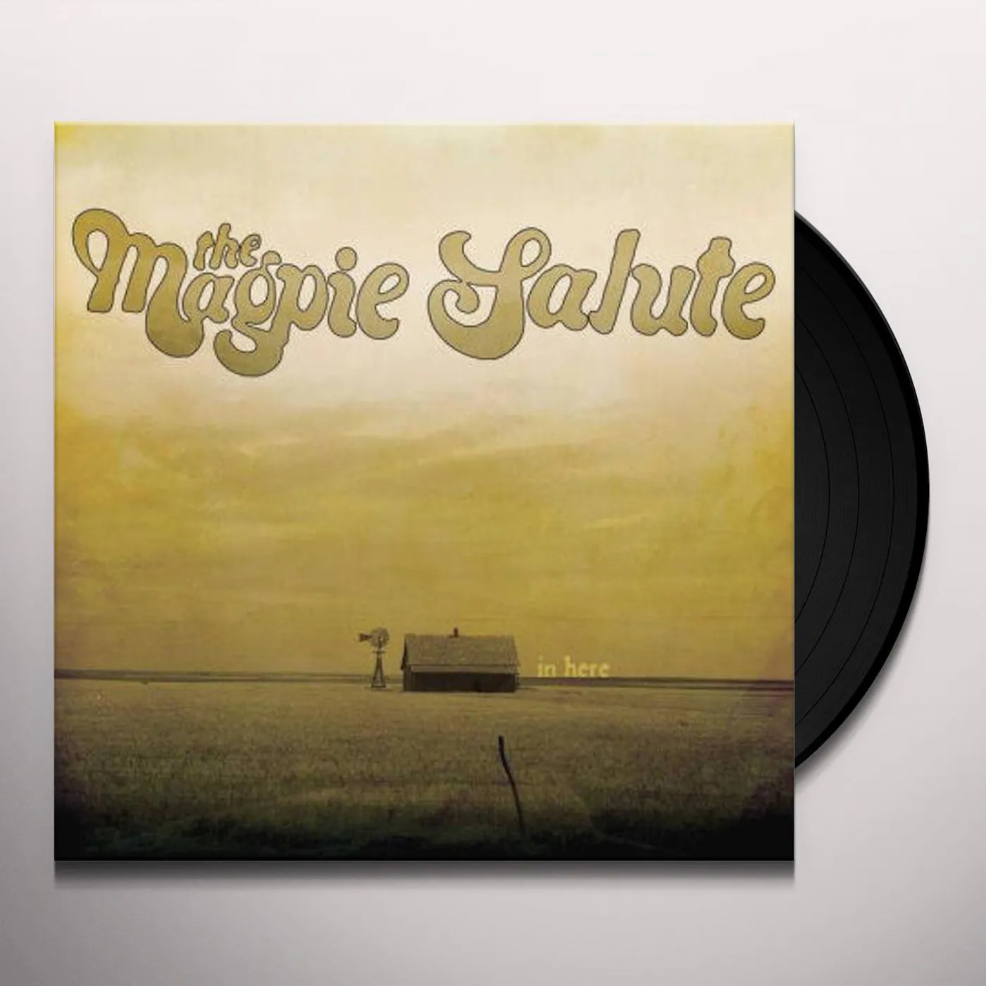 The Magpie Salute In Here Vinyl Record