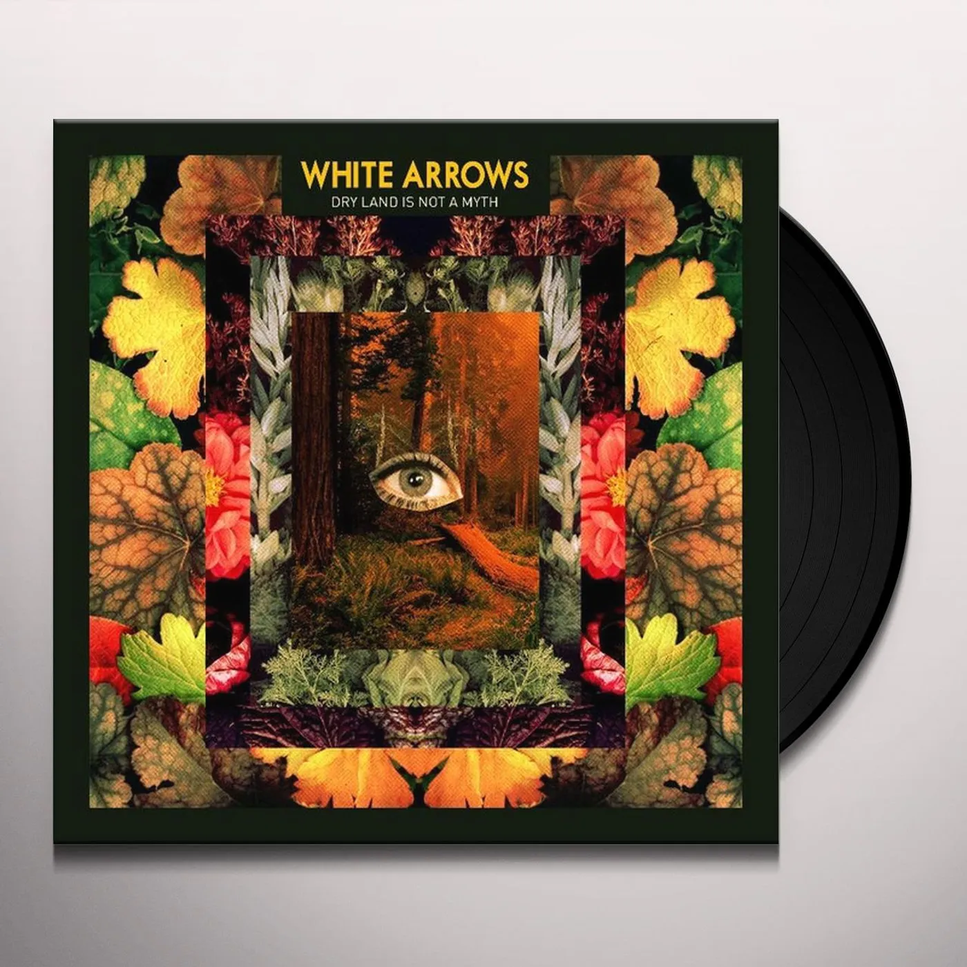 White Arrows In Bardo Vinyl Record