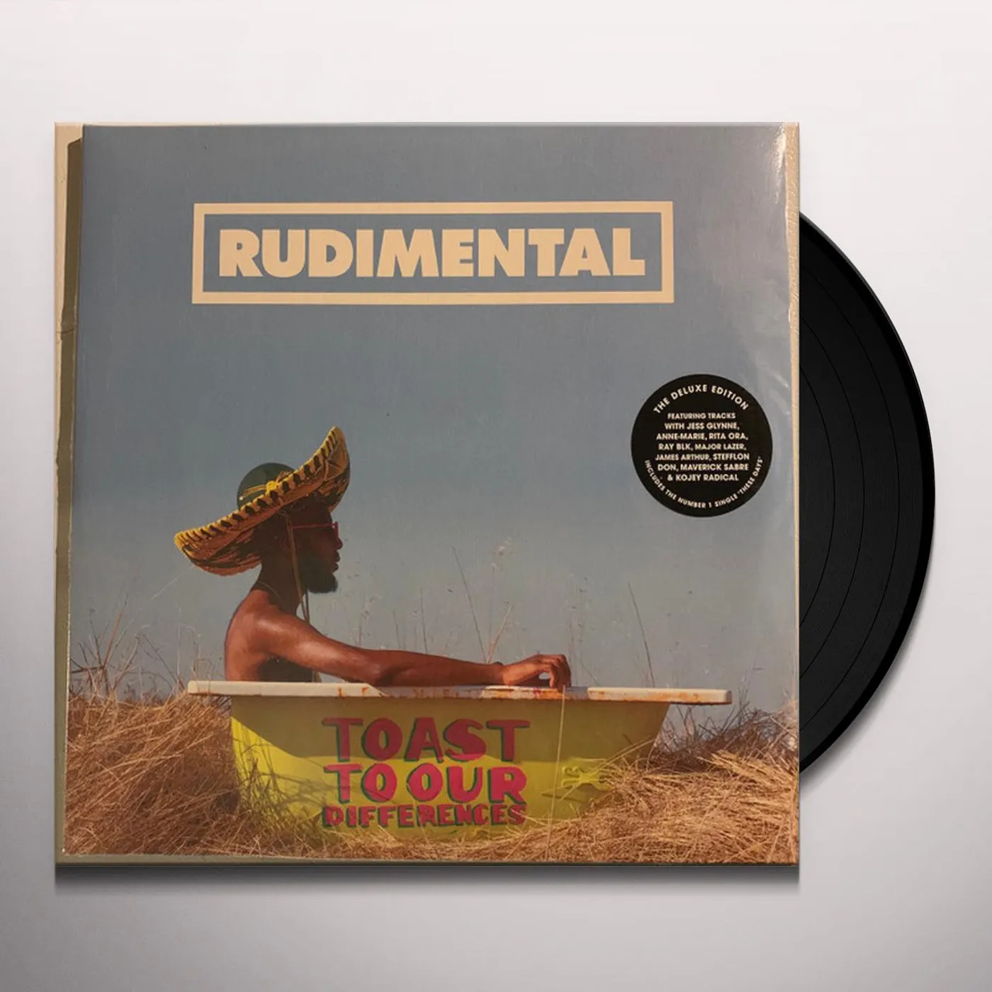 Rudimental TOAST TO OUR DIFFERENCES (2LP) Vinyl Record