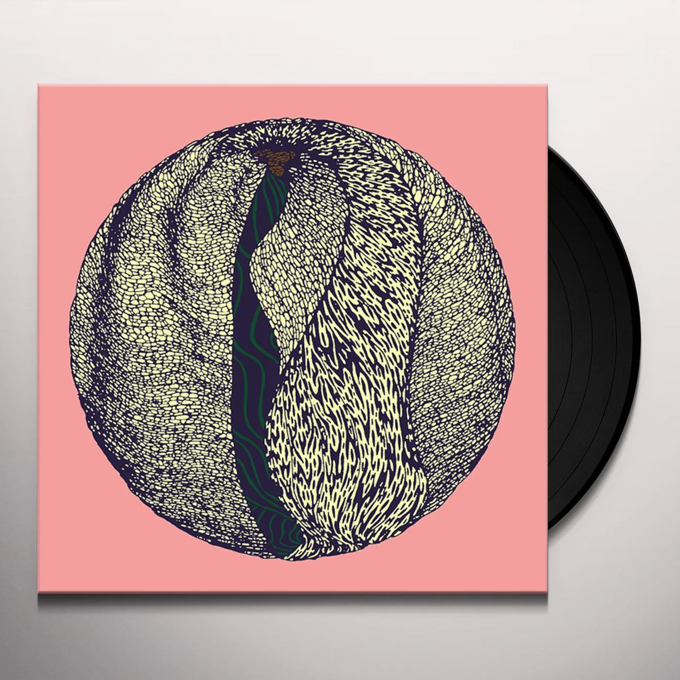 Fleur OUTBREAKER Vinyl Record