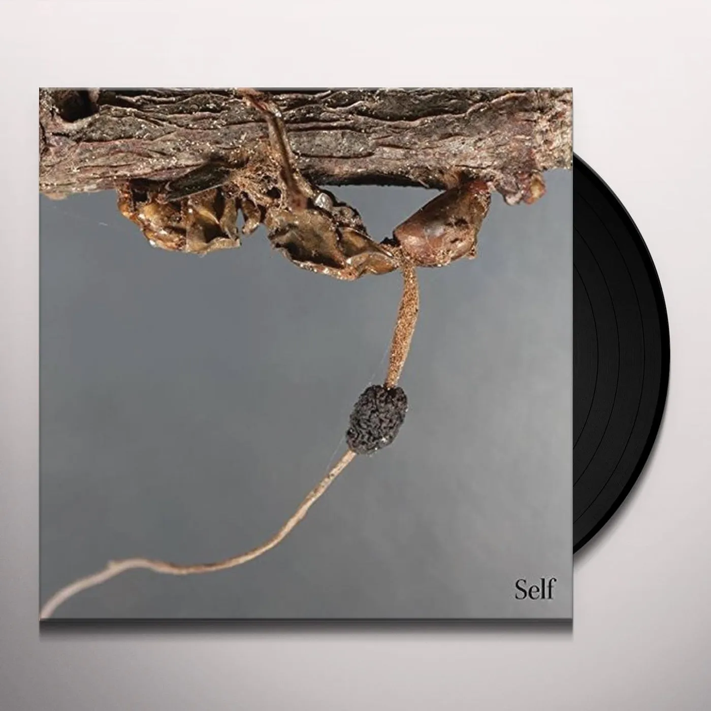 Terzij de Horde Self Vinyl Record