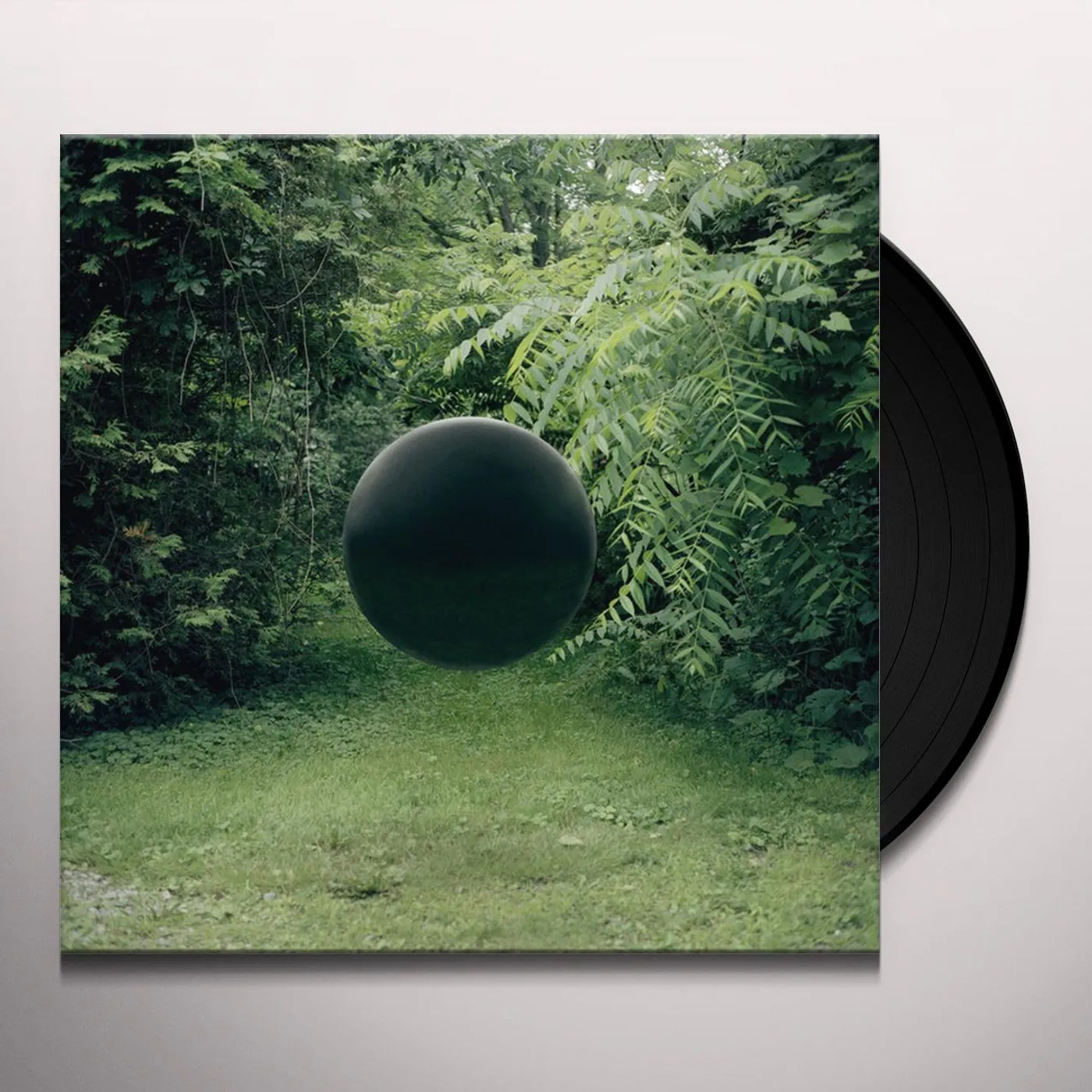 Braids IN KIND/AMENDS Vinyl Record