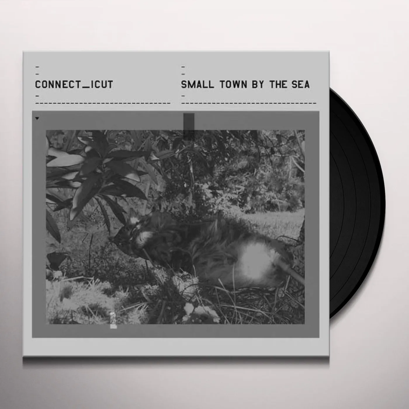 Connecticut SMALL TOWN BY THE SEA Vinyl Record