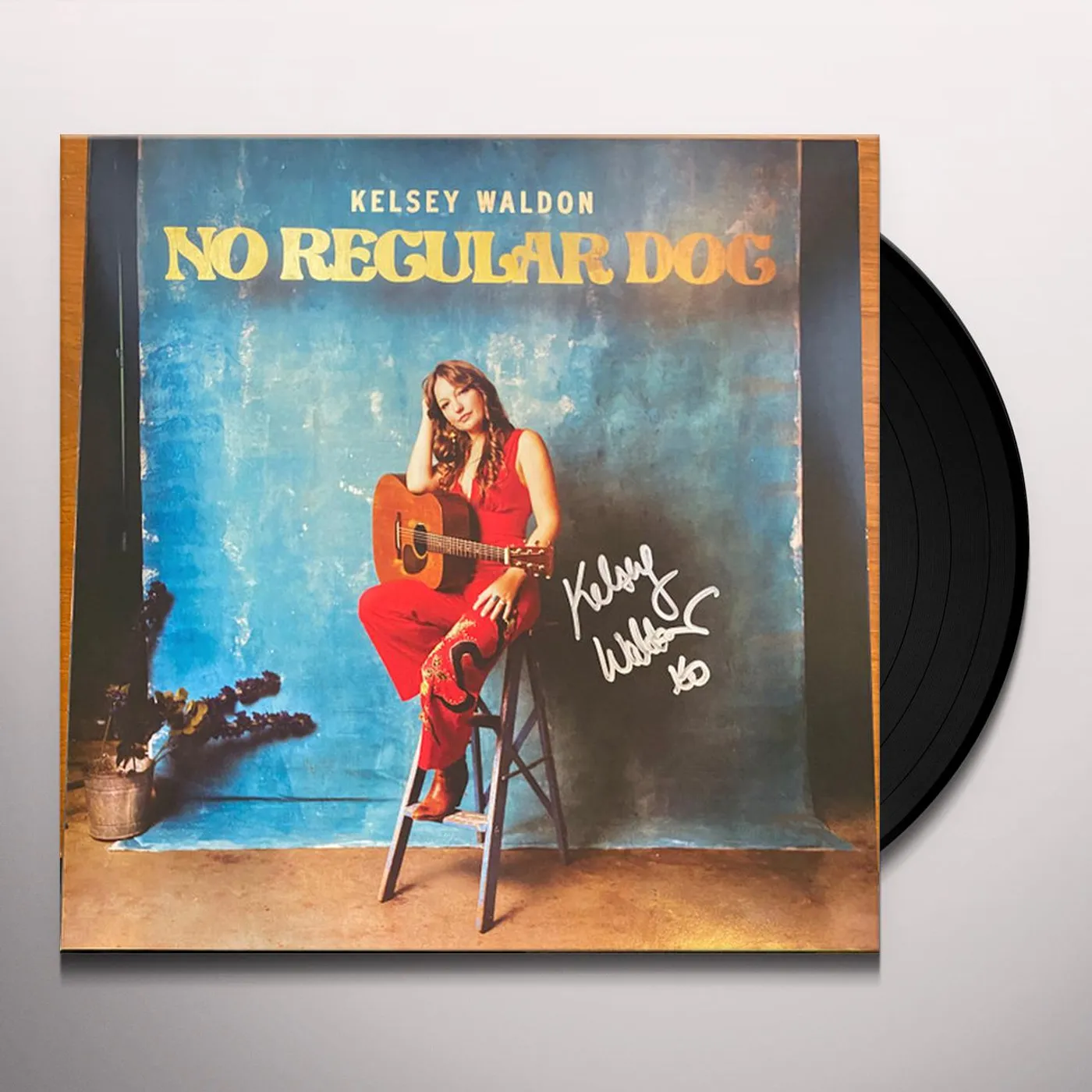 Kelsey Waldon No Regular Dog Vinyl Record