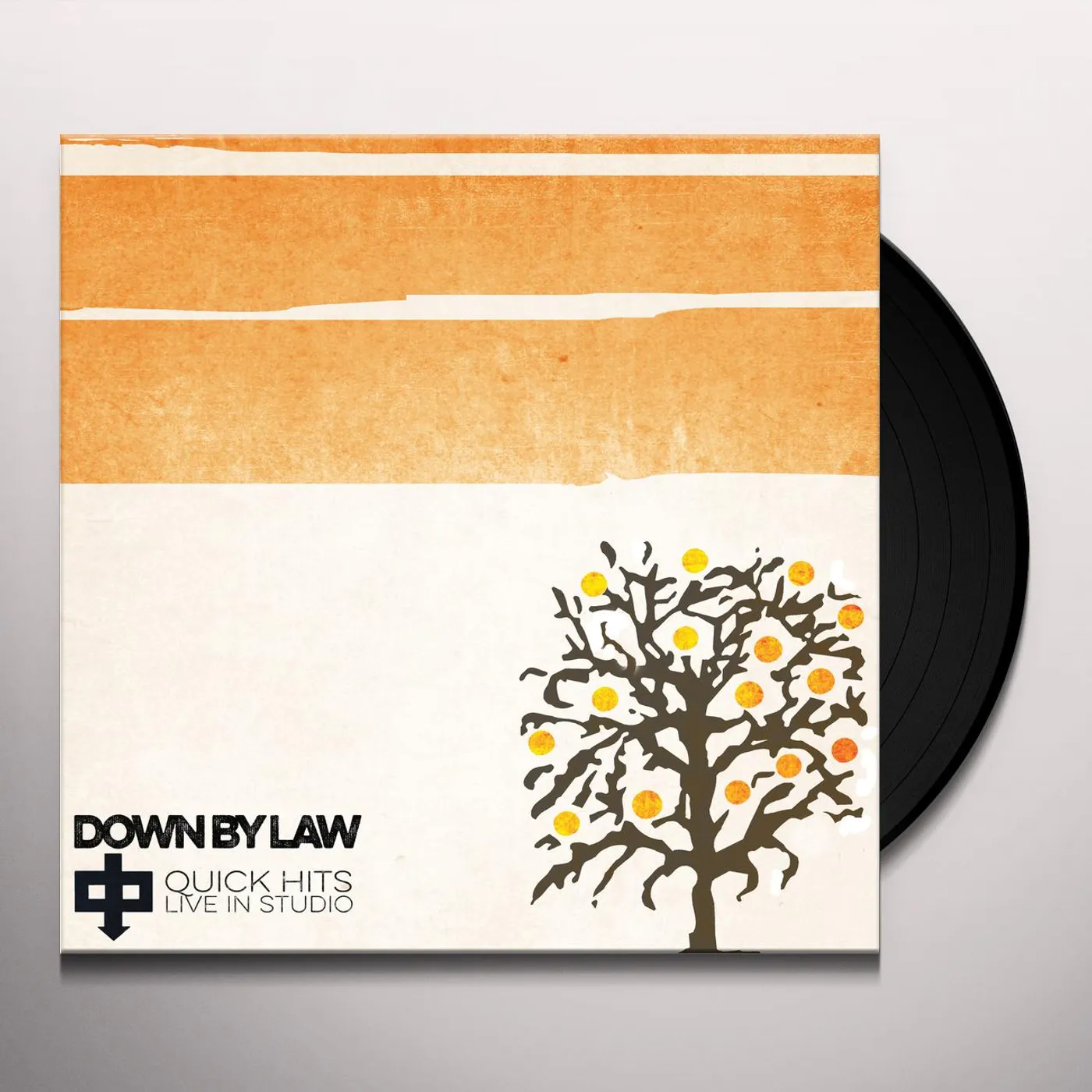Down By Law Quick Hits Live in Studio Vinyl Record
