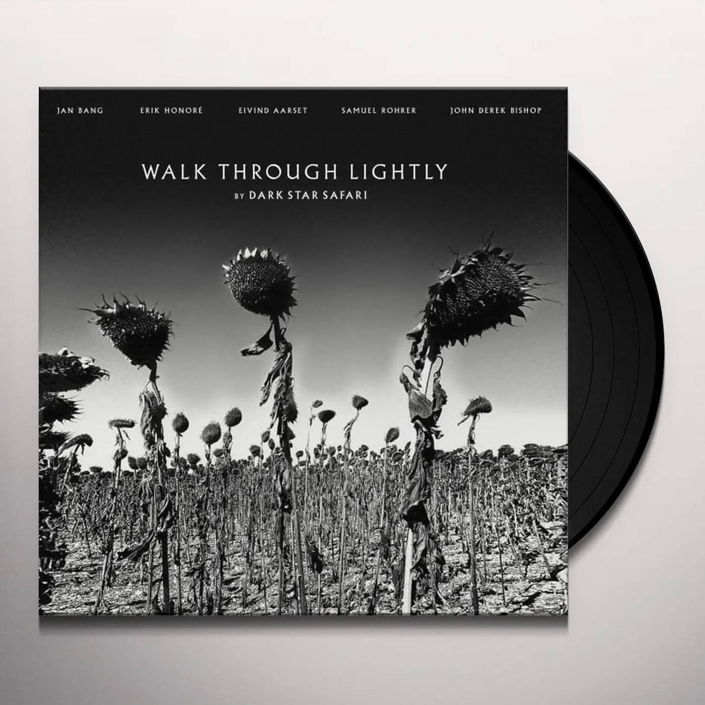 Dark Star Safari Walk Through Lightly Vinyl Record