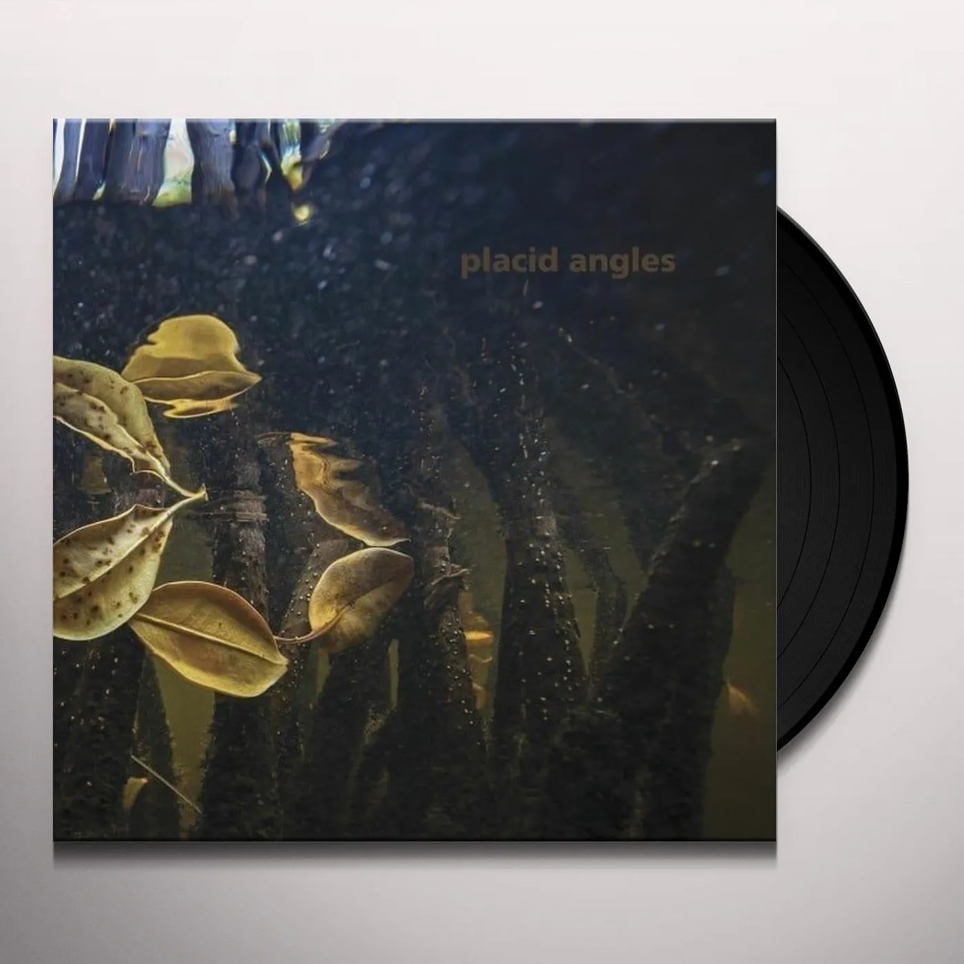 Placid Angles Touch The Earth Vinyl Record