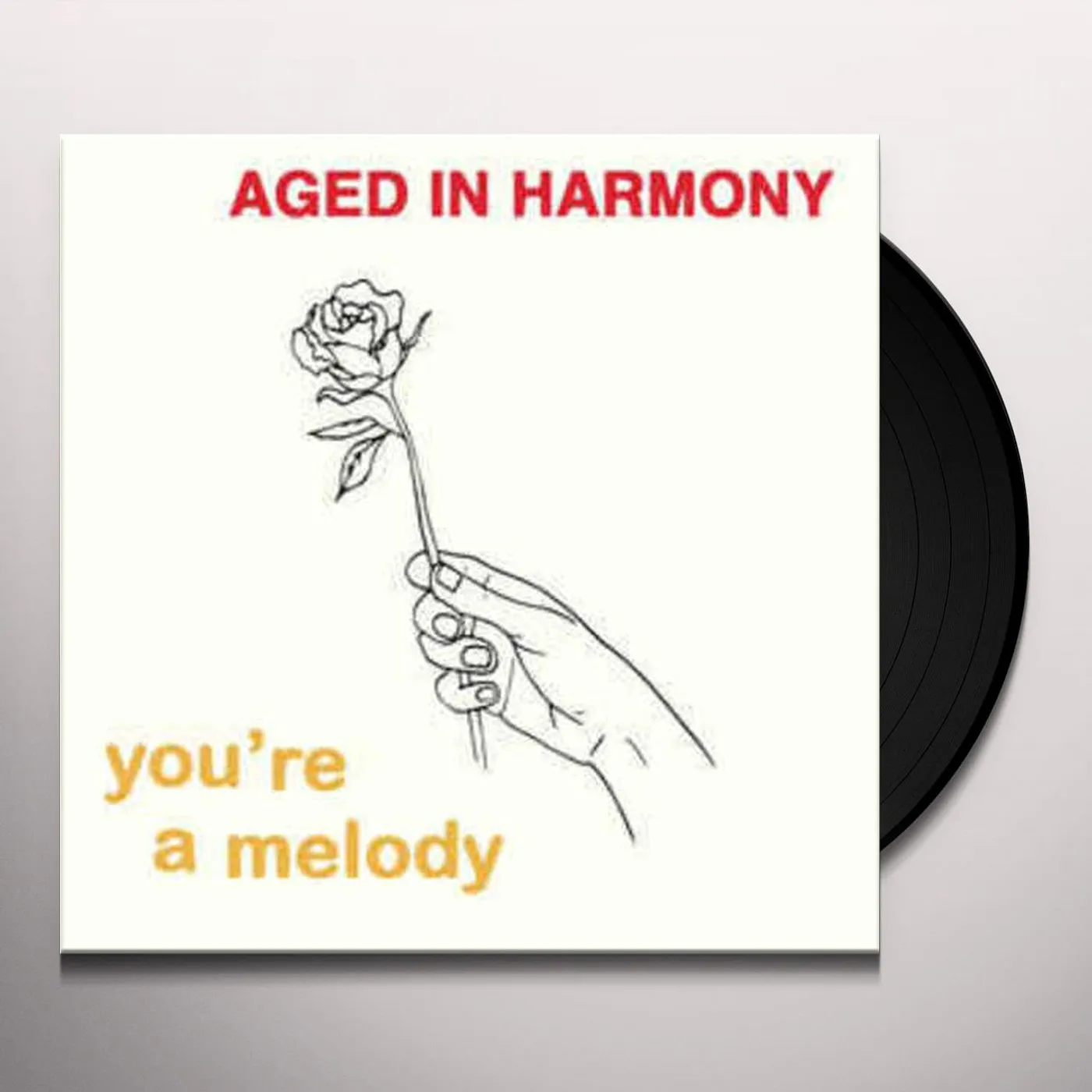 Aged In Harmony You're a Melody Vinyl Record