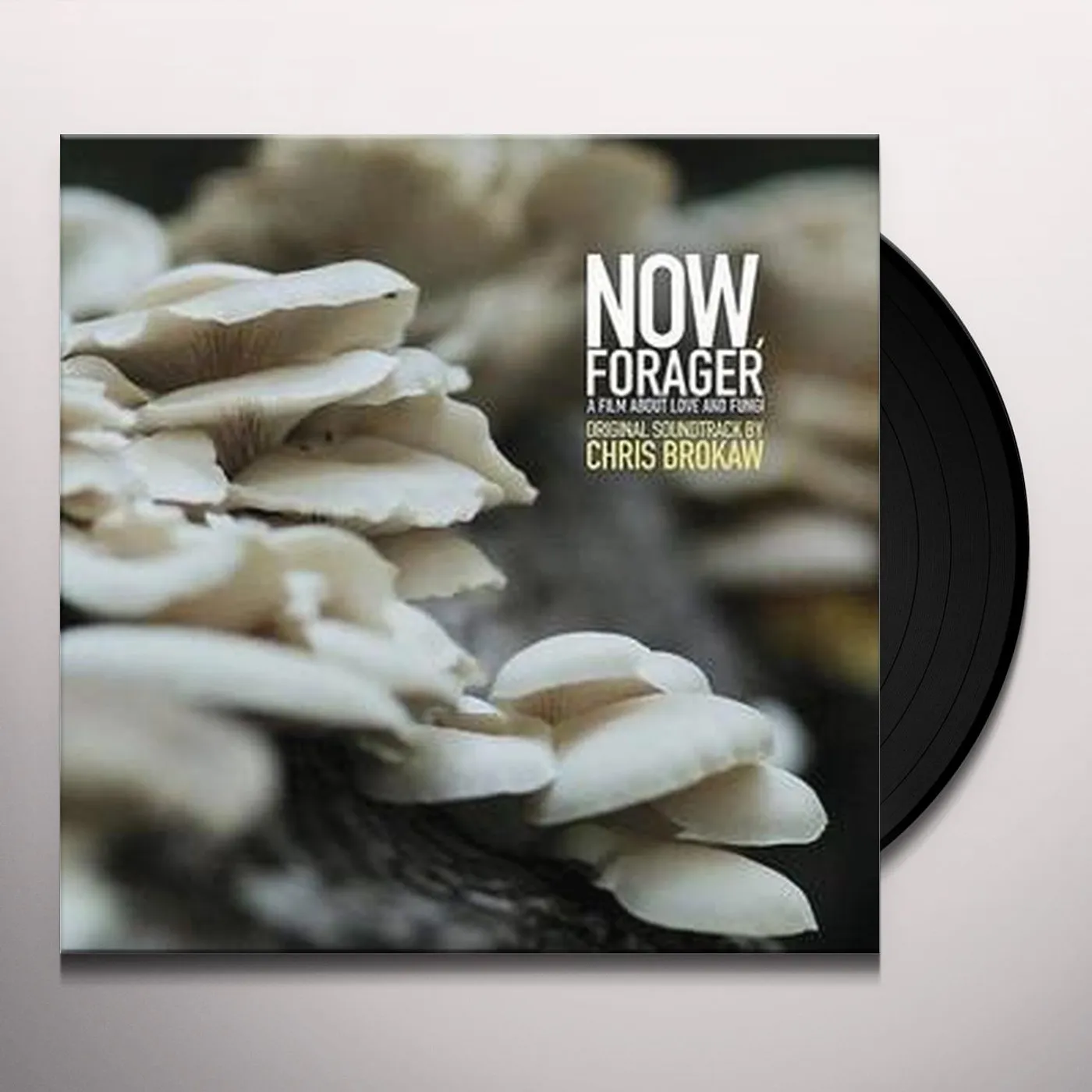 Chris Brokaw NOW FORAGER - Original Soundtrack Vinyl Record
