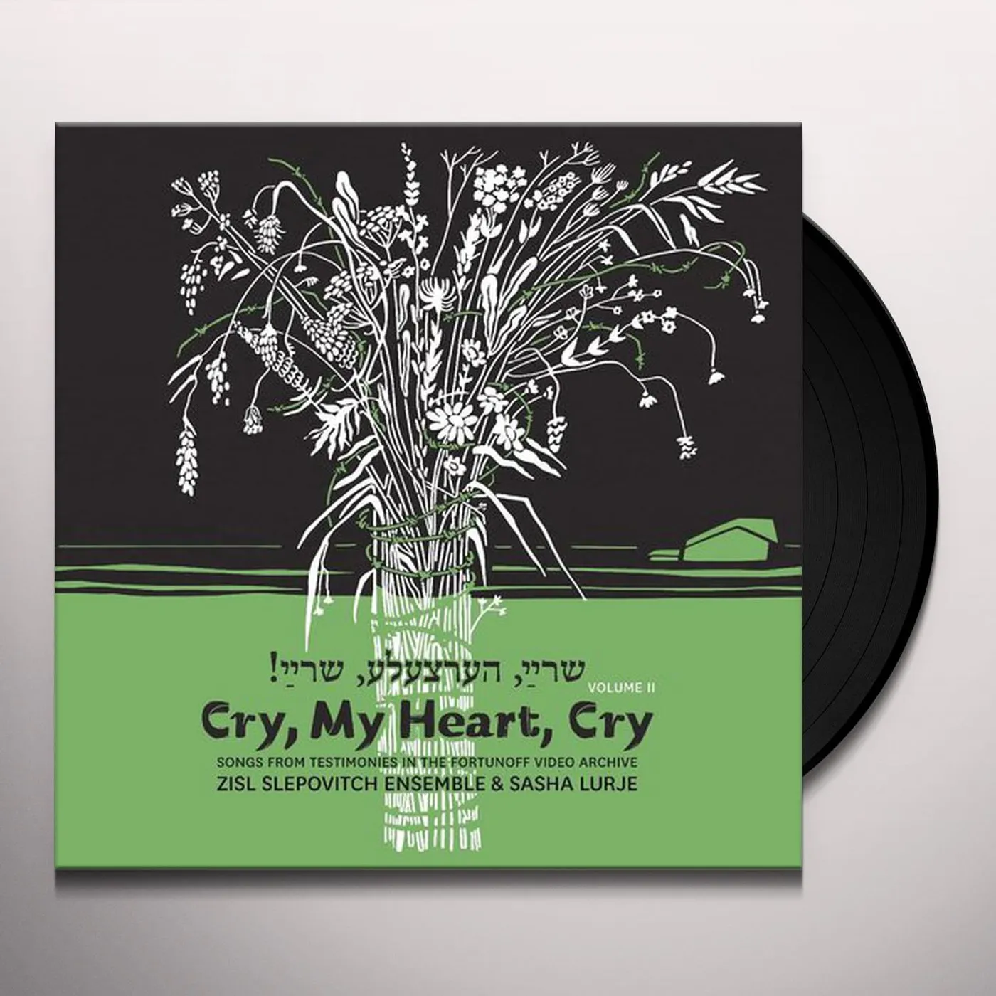 Zisl Slepovitch / Sasha Lurje Cry, My Heart, Cry - Songs From Testimonies in the Fortunoff Video Archive, Vol. 2 Vinyl Record