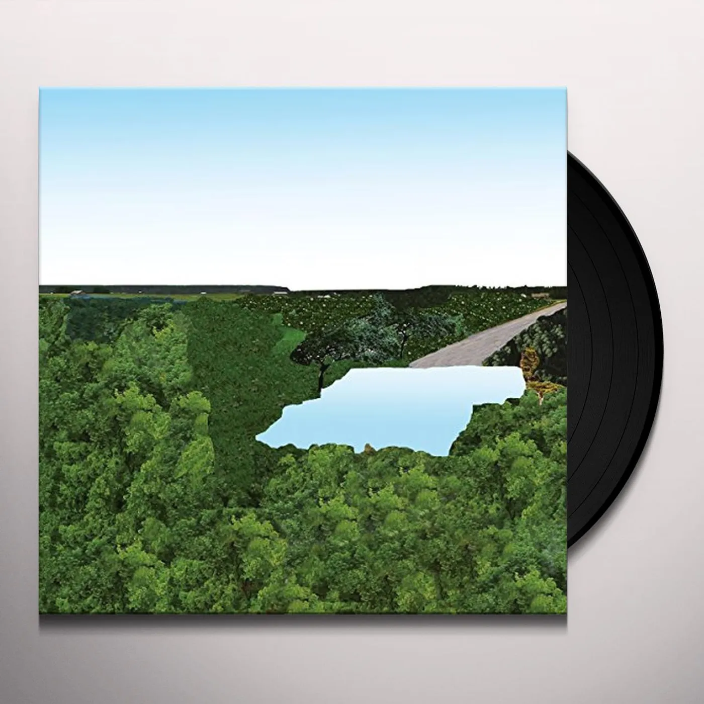 Pöllöt Vinyl Record