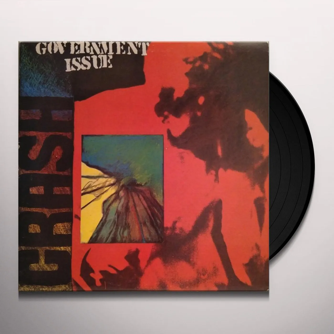 Government Issue Vinyl Record