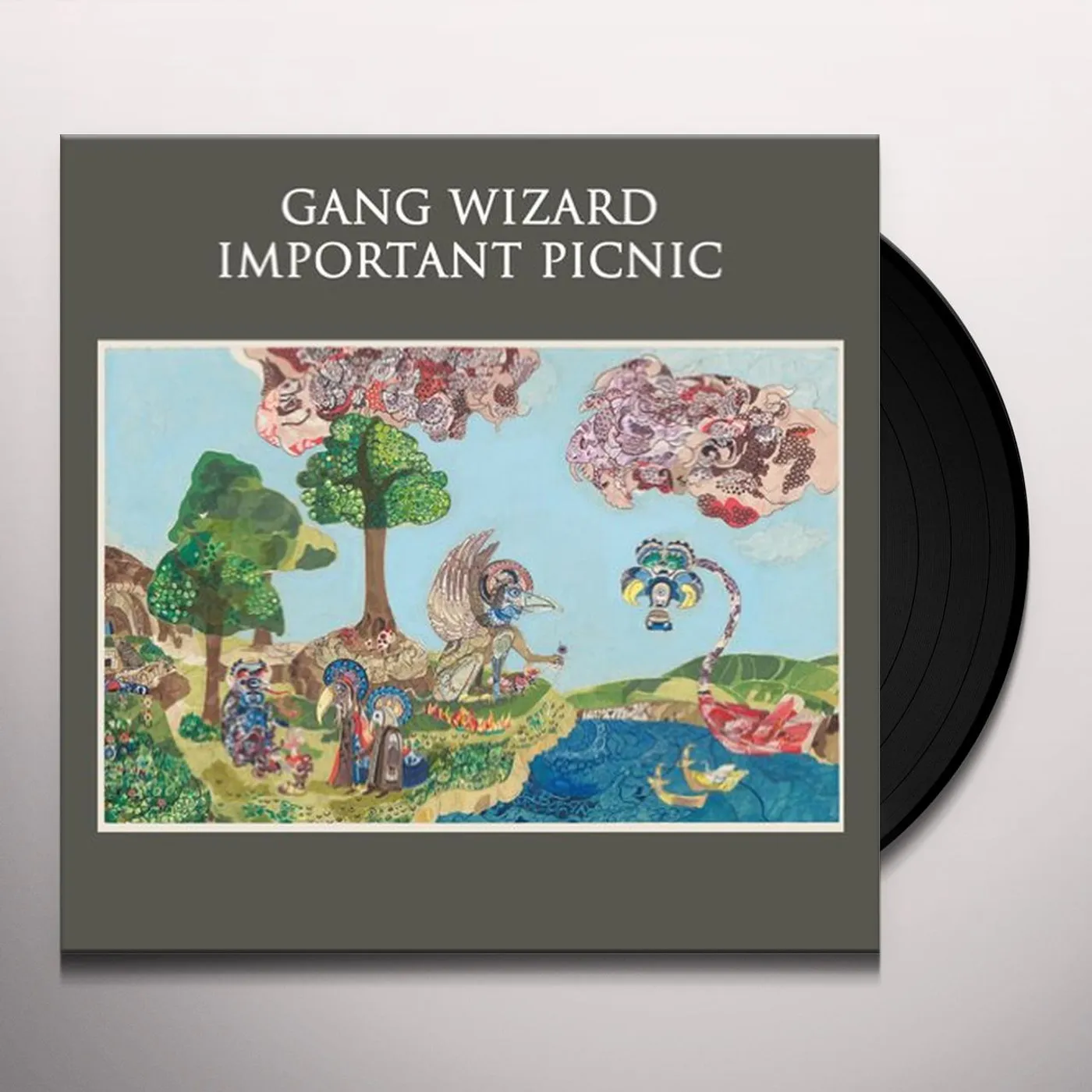Gang Wizard Important Picnic Vinyl Record