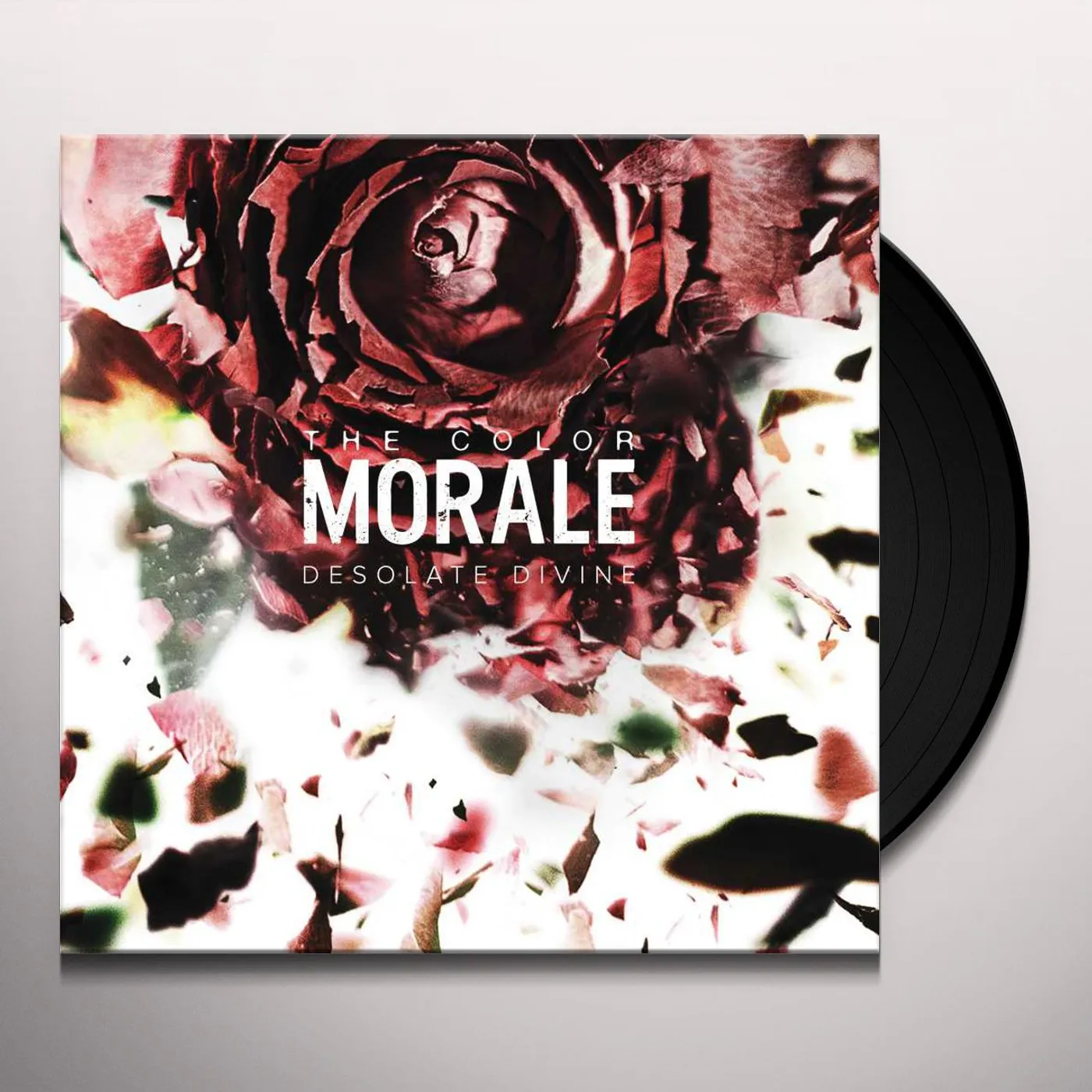 The Color Morale Desolate Divine Vinyl Record