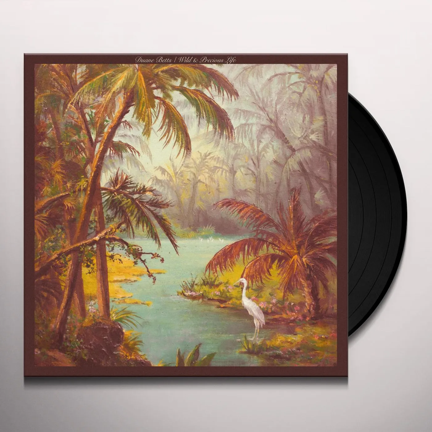 Duane Betts Wild & Precious Life Vinyl Record