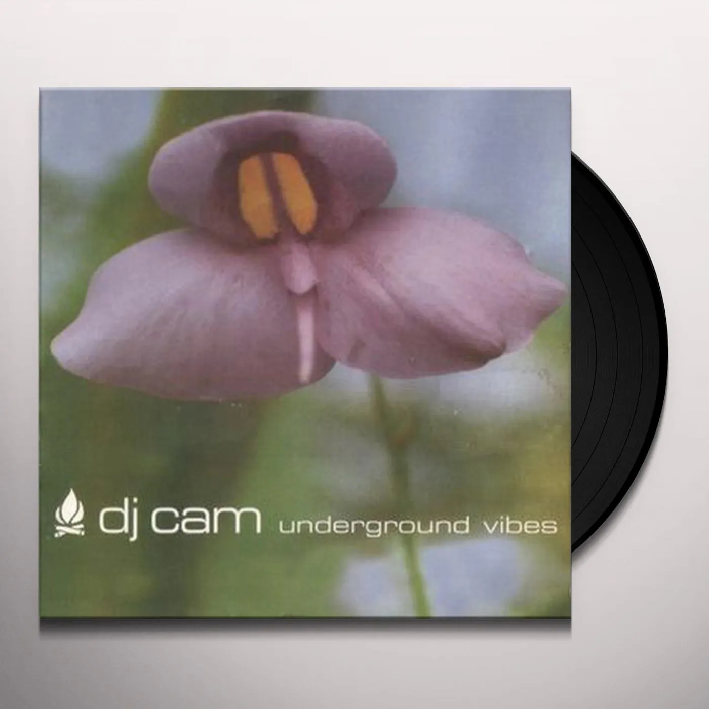 DJ Cam Underground Vibes Vinyl Record