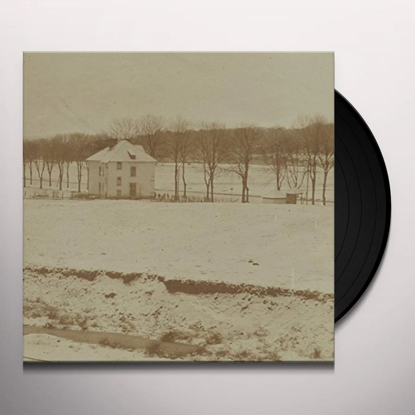 Palehorse LOOKING WET IN PUBLIC Vinyl Record