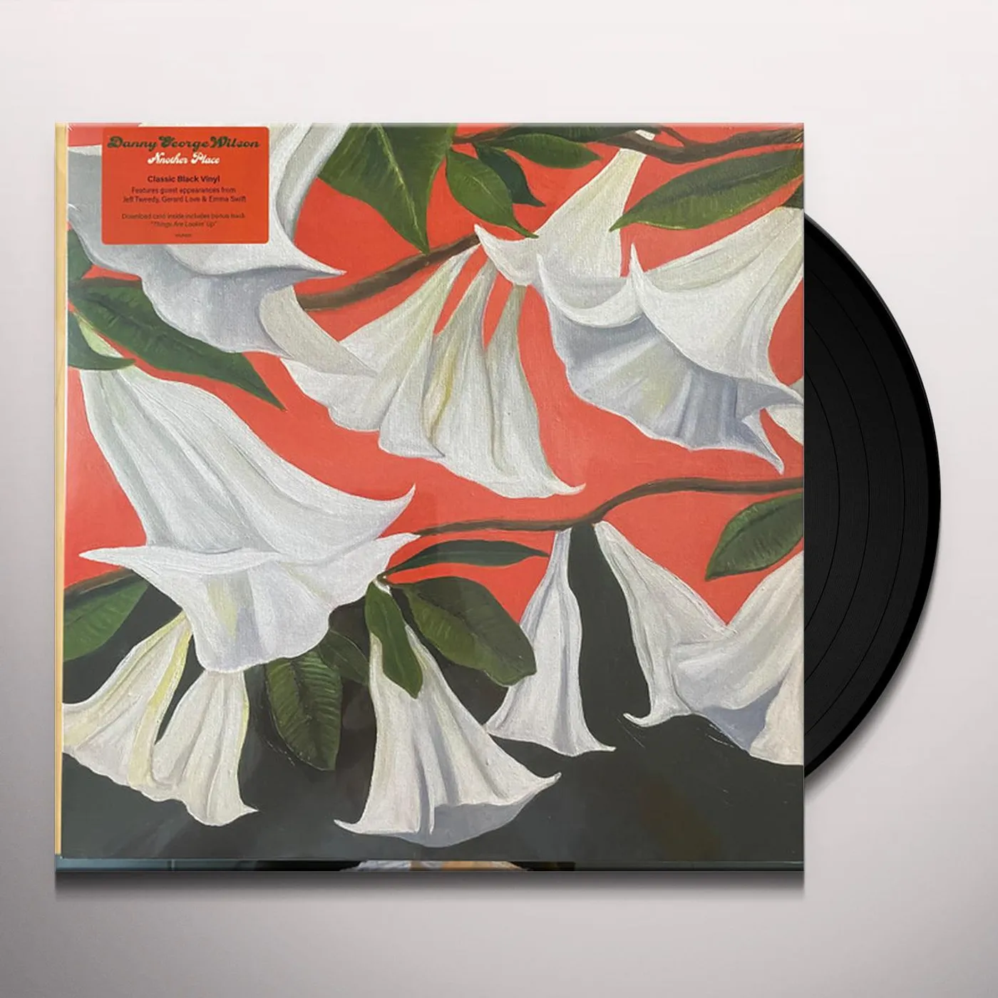 Danny Wilson Another Place Vinyl Record